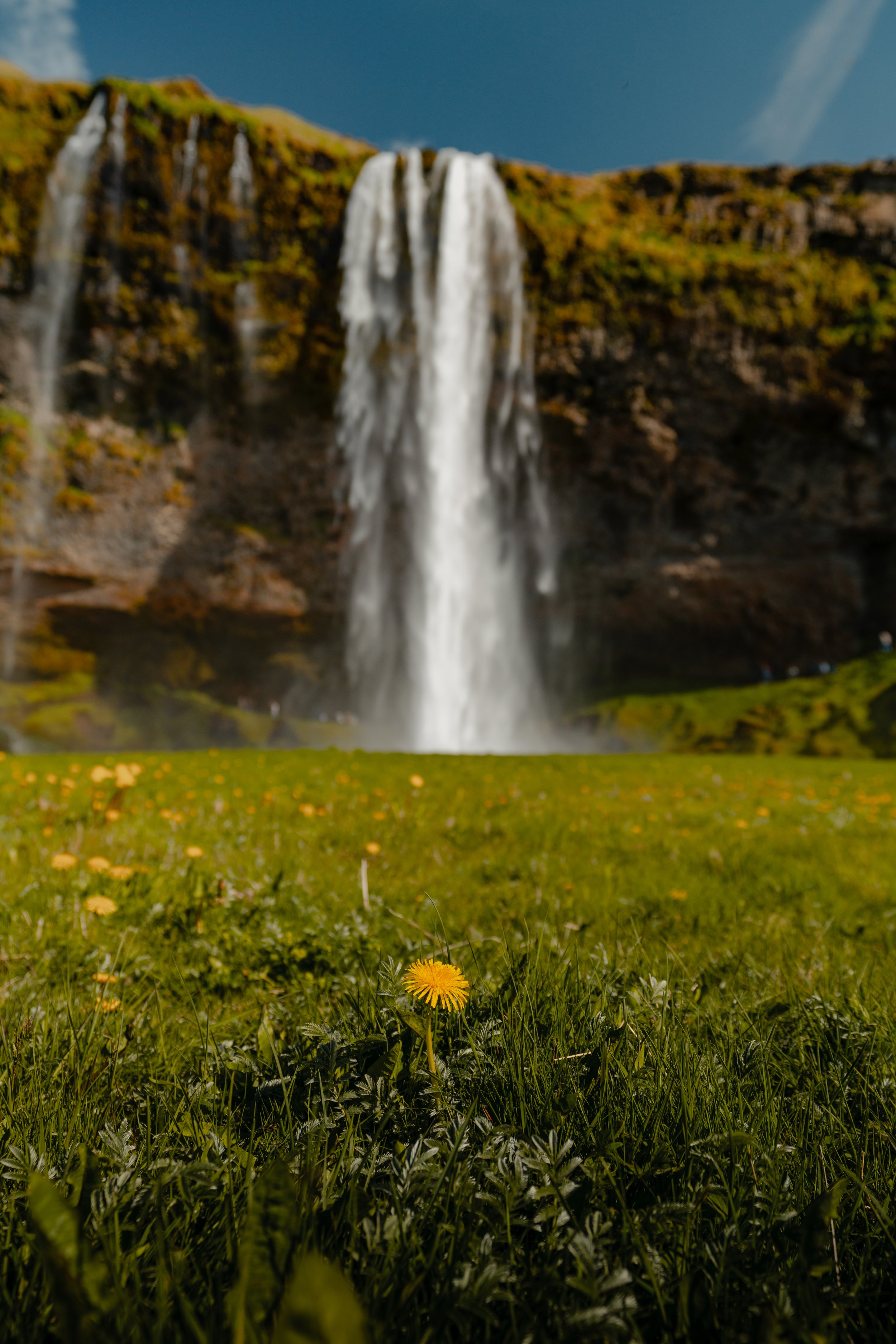 _DSC6079.jpg