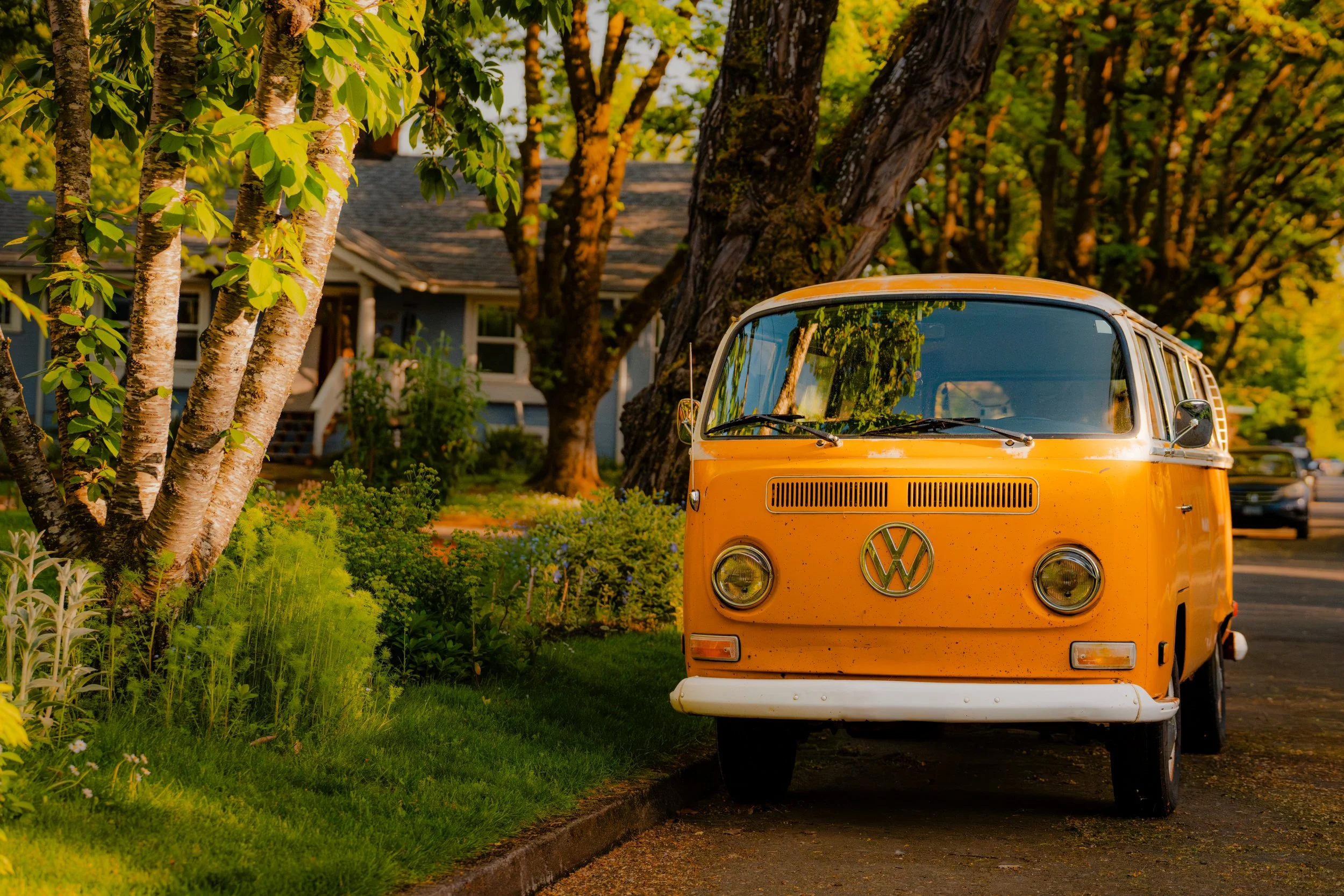 DSC07454-Enhanced-NR-Highest Quality JPEG-3.jpg