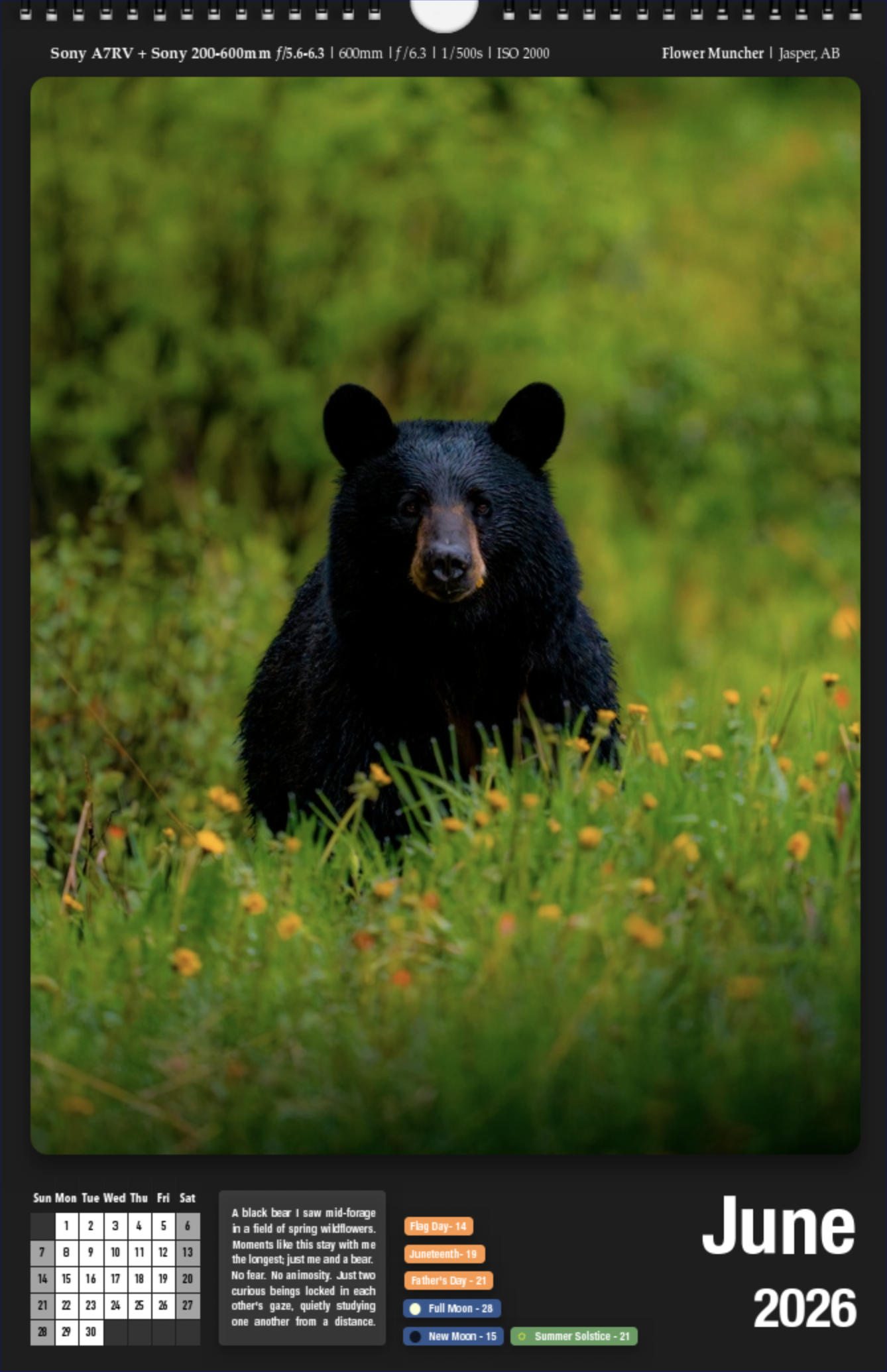 Screenshot 2025-10-26 at 12.07.10 PM.png