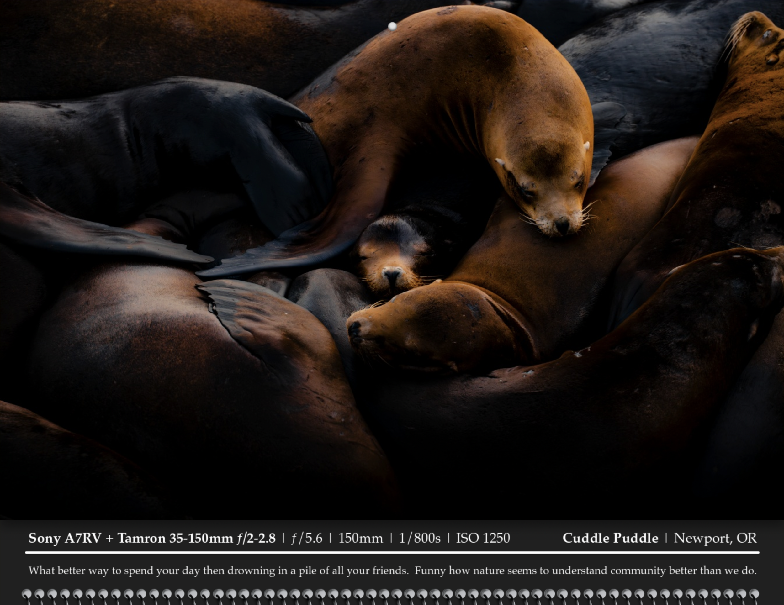 Screenshot 2025-10-27 at 11.33.21 AM.png