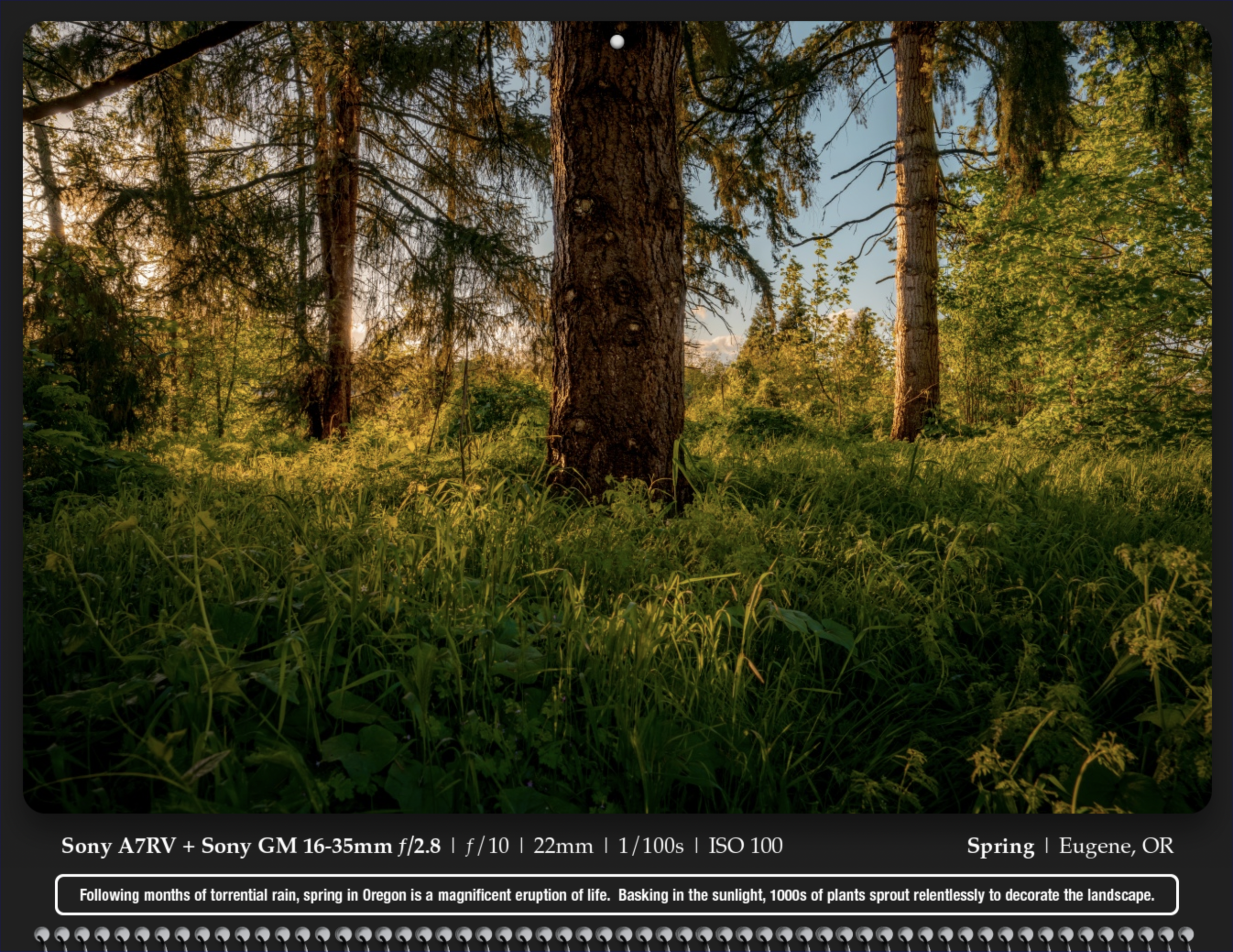 Screenshot 2024-12-04 at 10.39.08 AM.png
