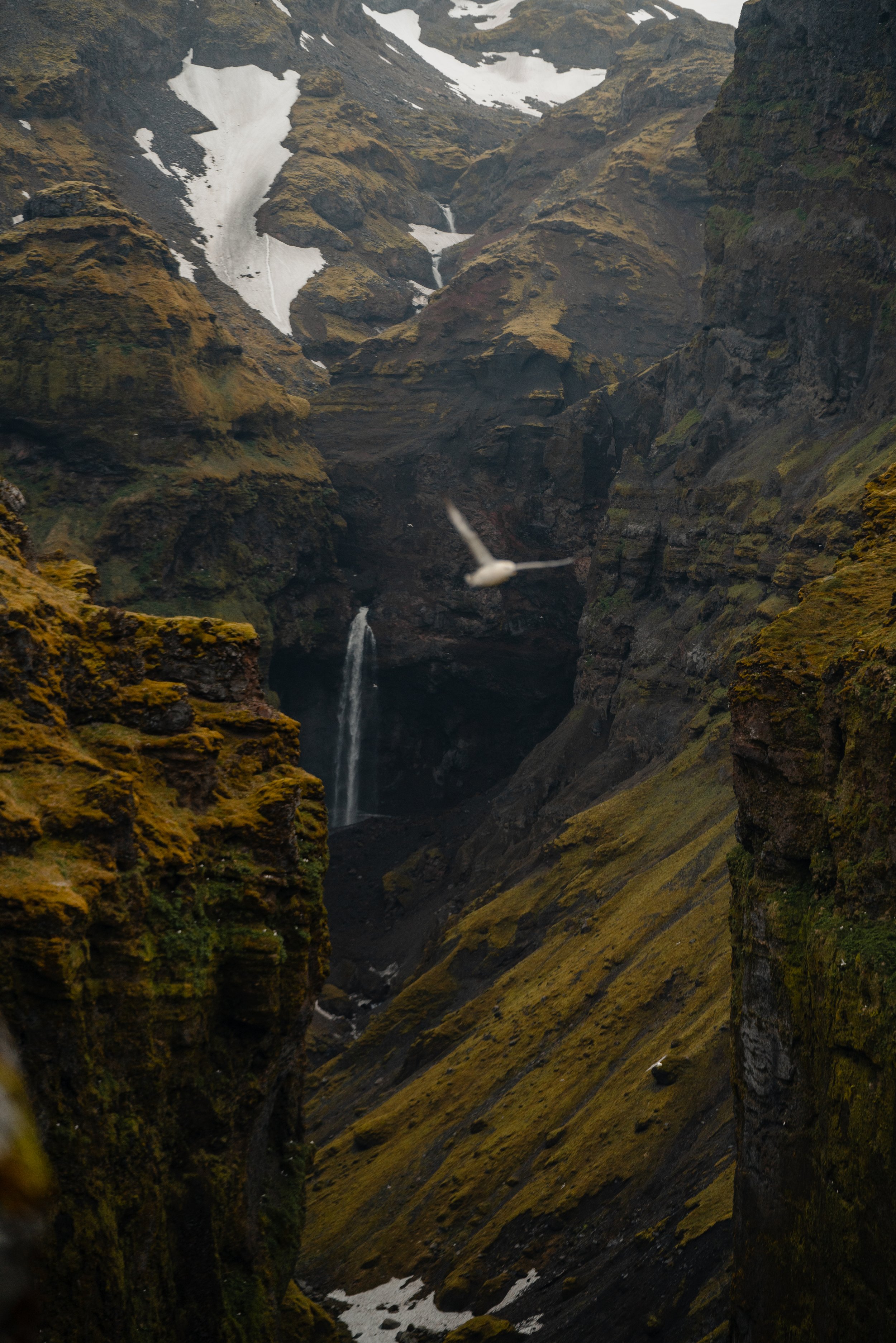 _DSC3943.jpg