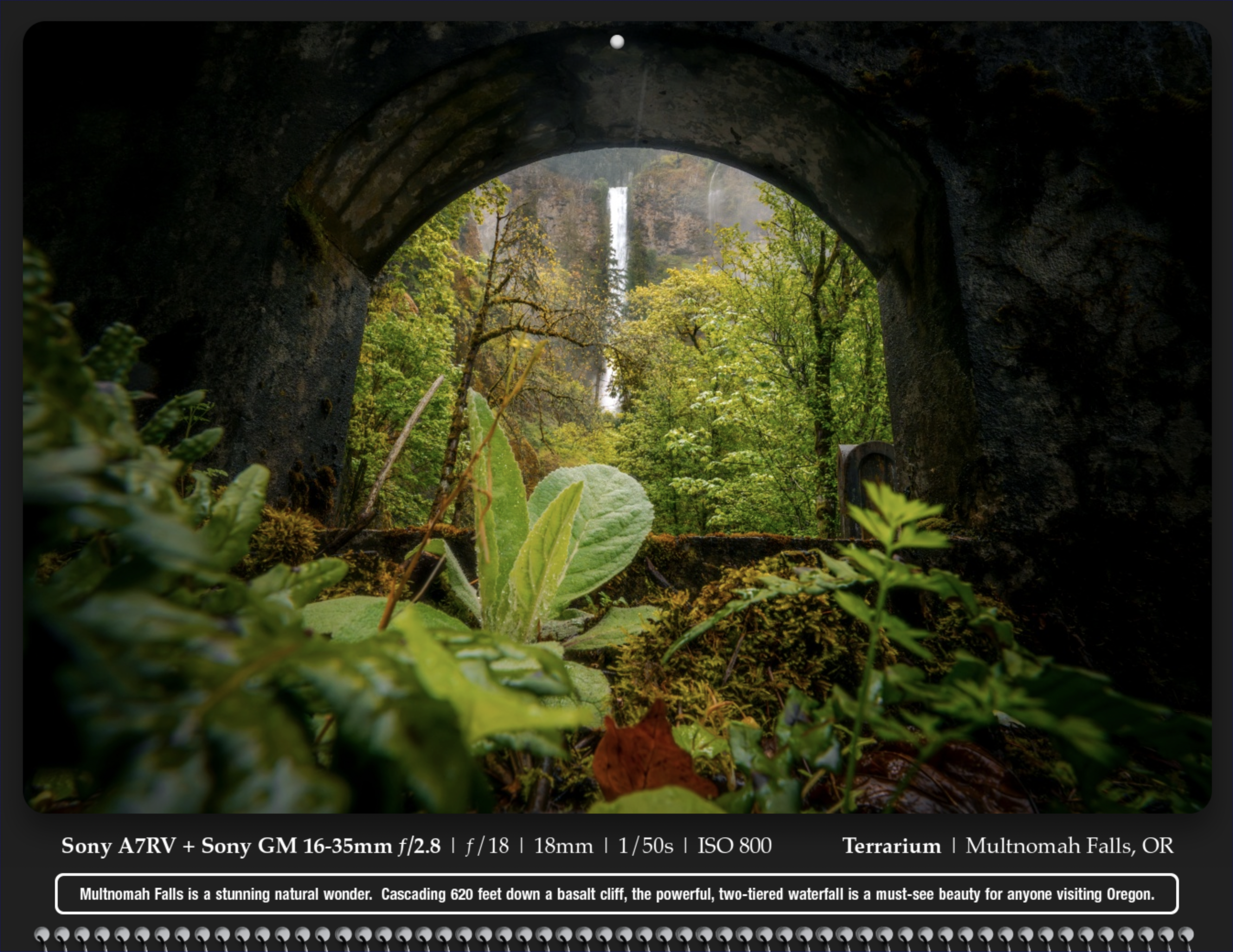 Screenshot 2024-12-04 at 10.38.26 AM.png
