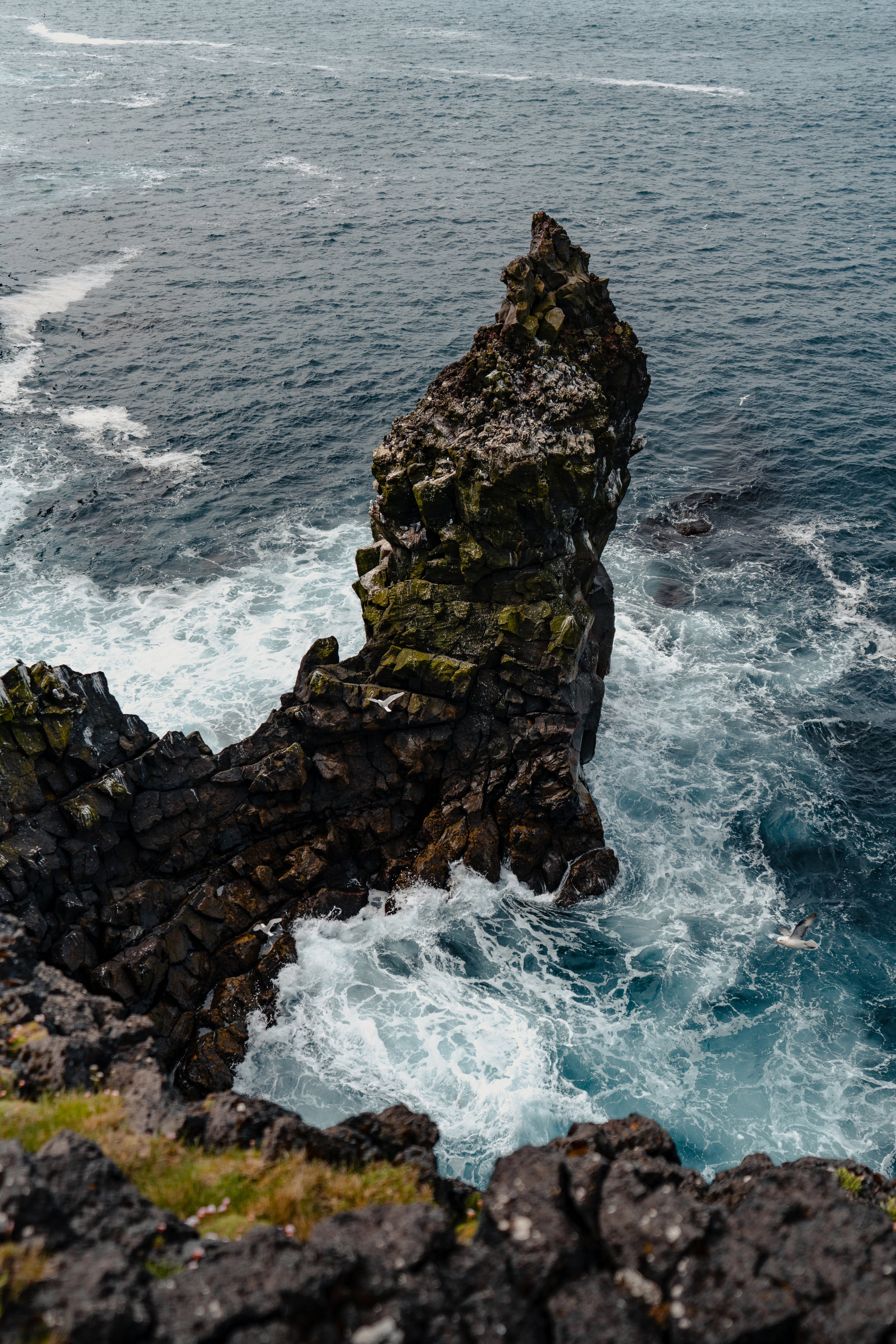 _DSC2870.jpg