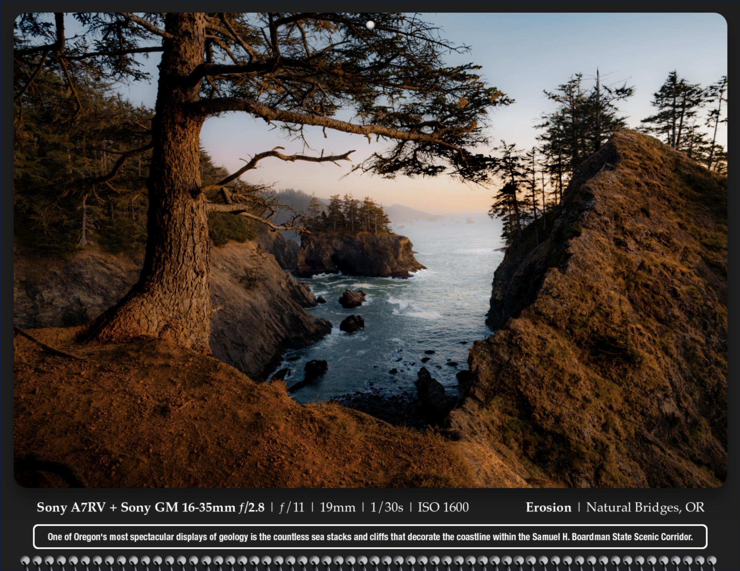 Screenshot 2024-12-04 at 10.41.03 AM.png
