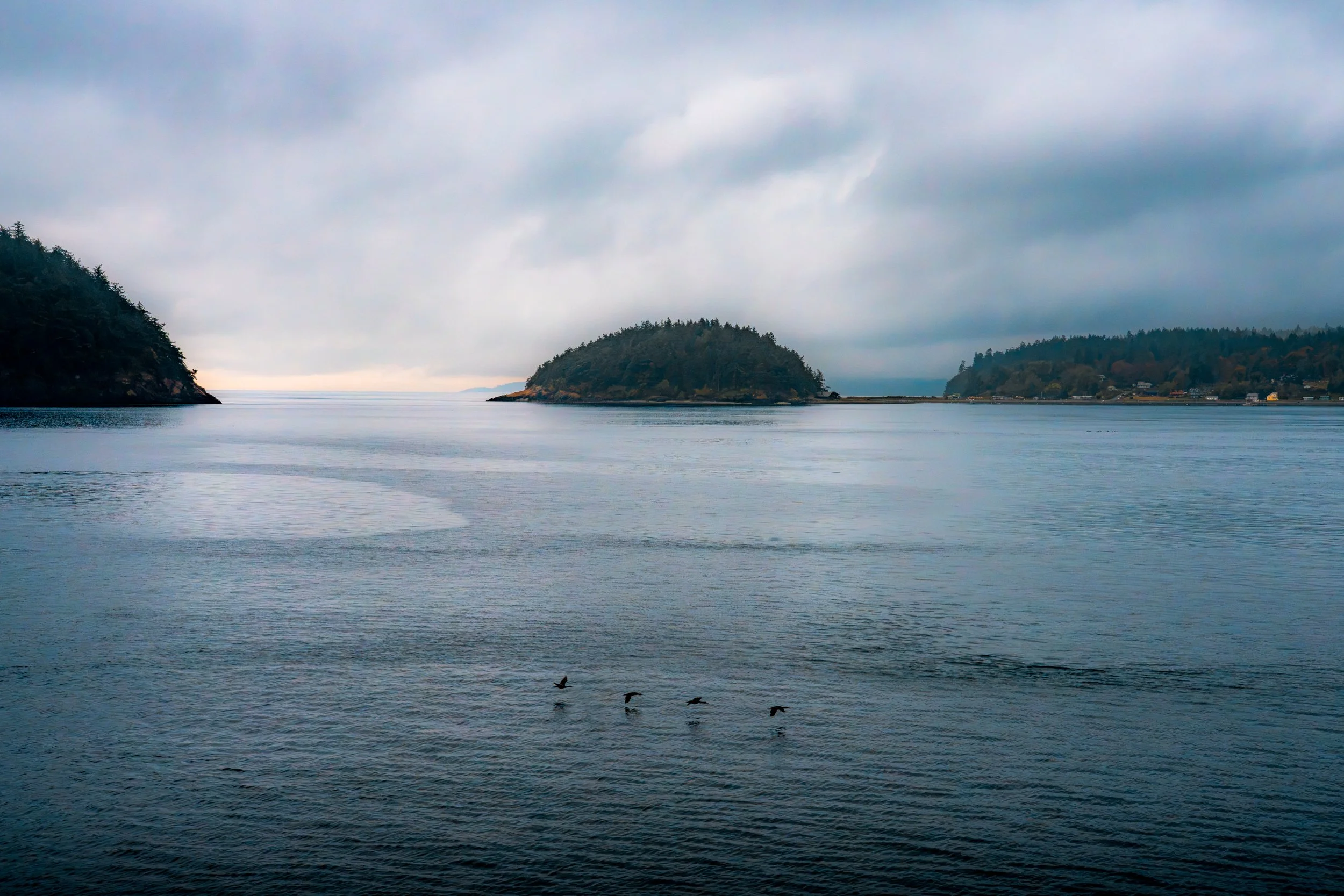 SJI-SEP-26_DSC00481-Edit.jpg
