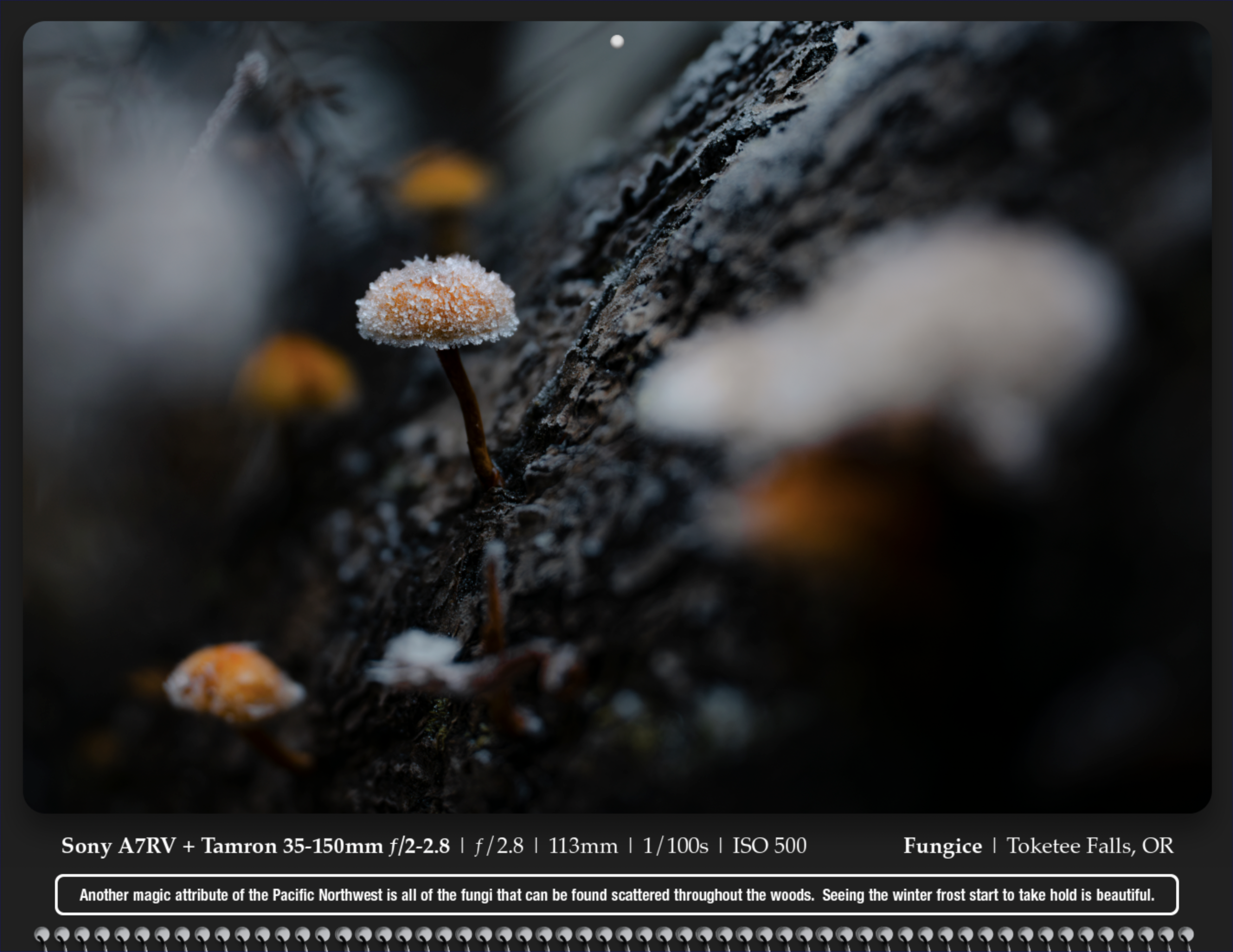 Screenshot 2024-12-04 at 10.42.22 AM.png