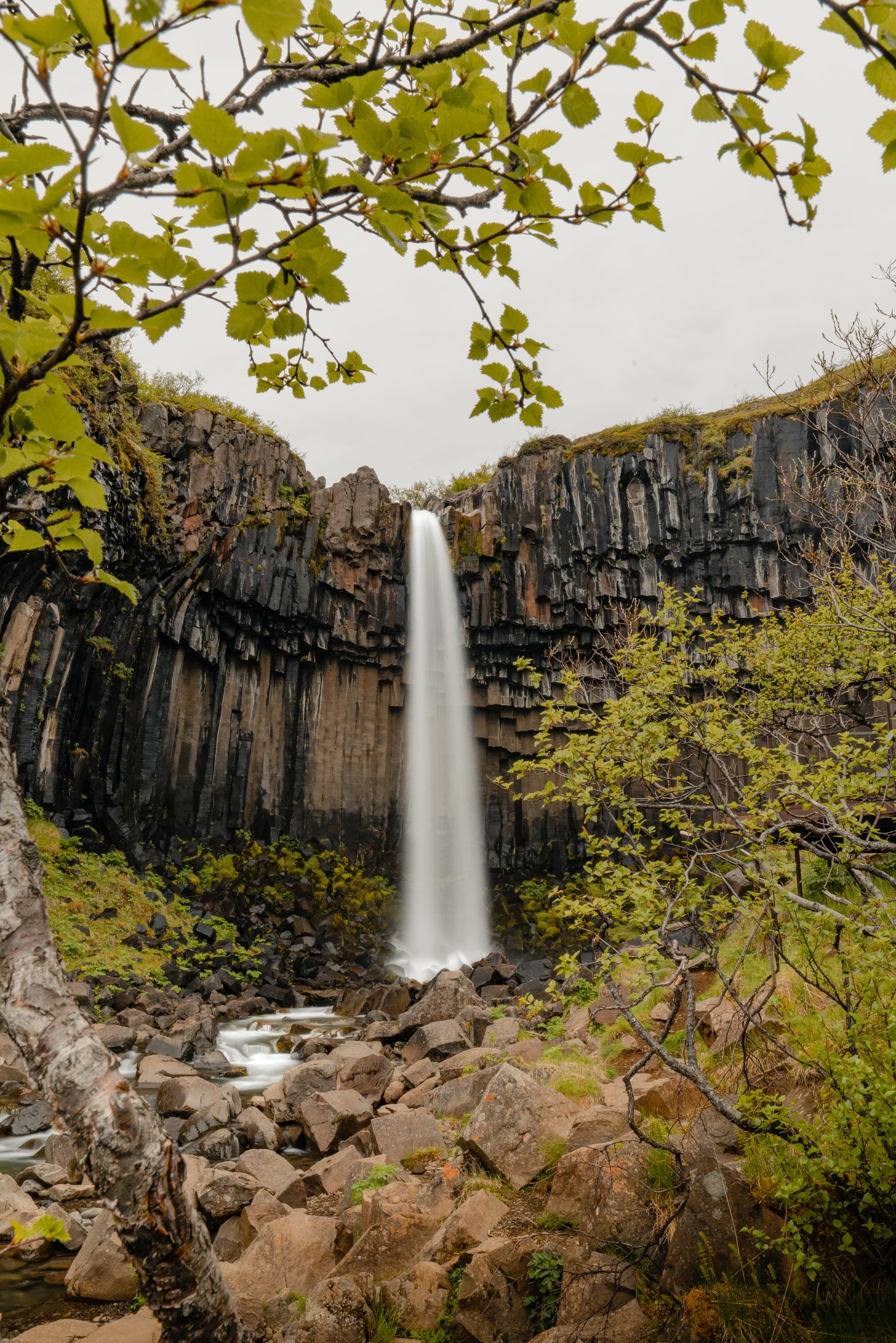 _DSC3271.jpg