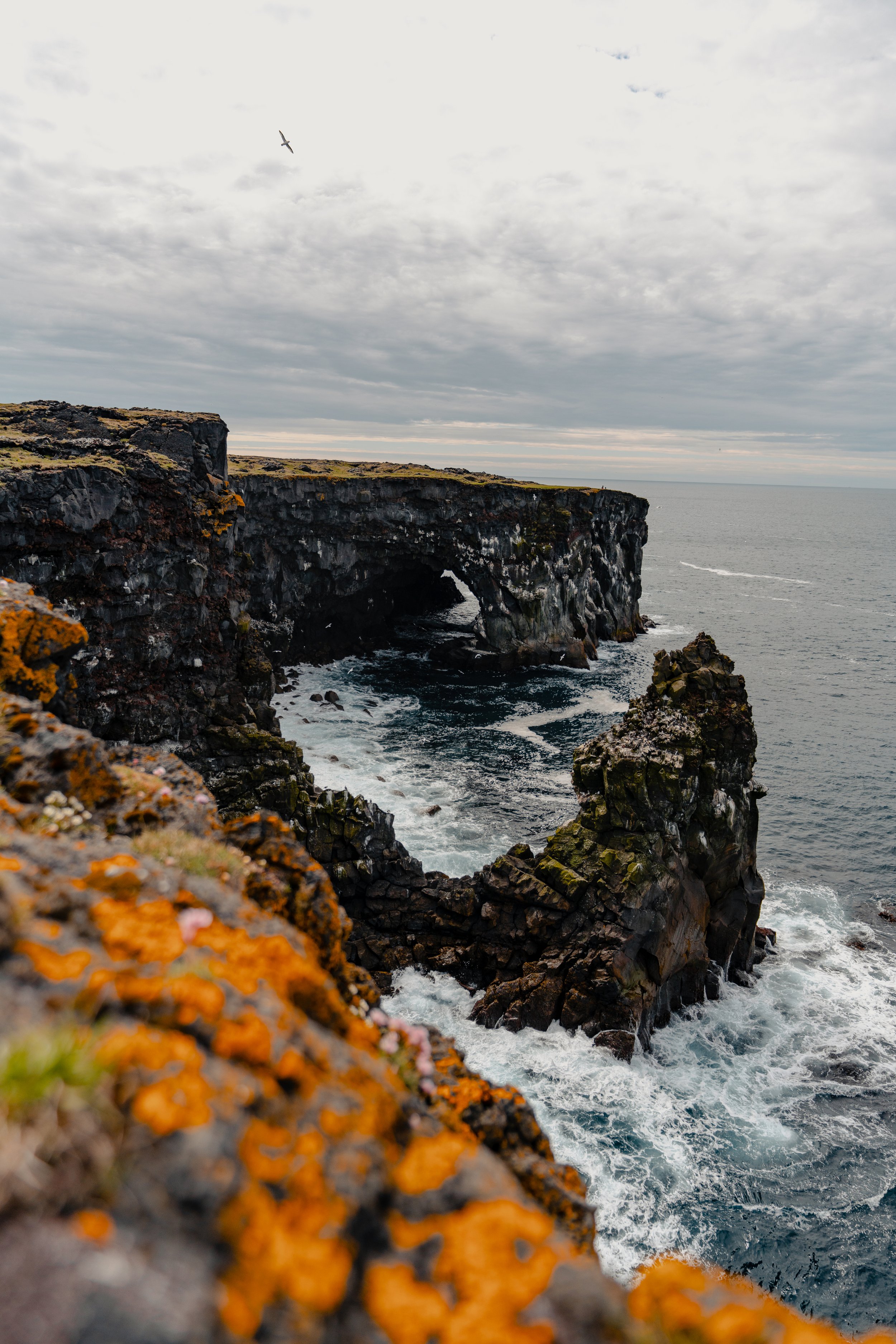 _DSC2775-2.jpg