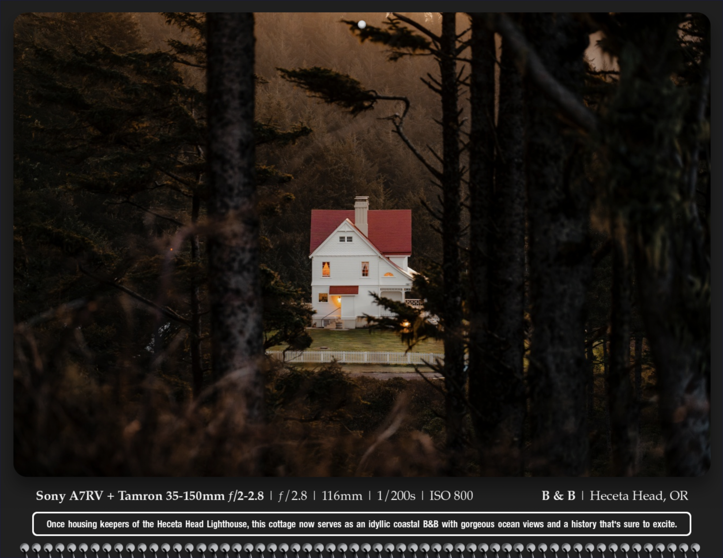 Screenshot 2024-12-04 at 10.37.16 AM.png