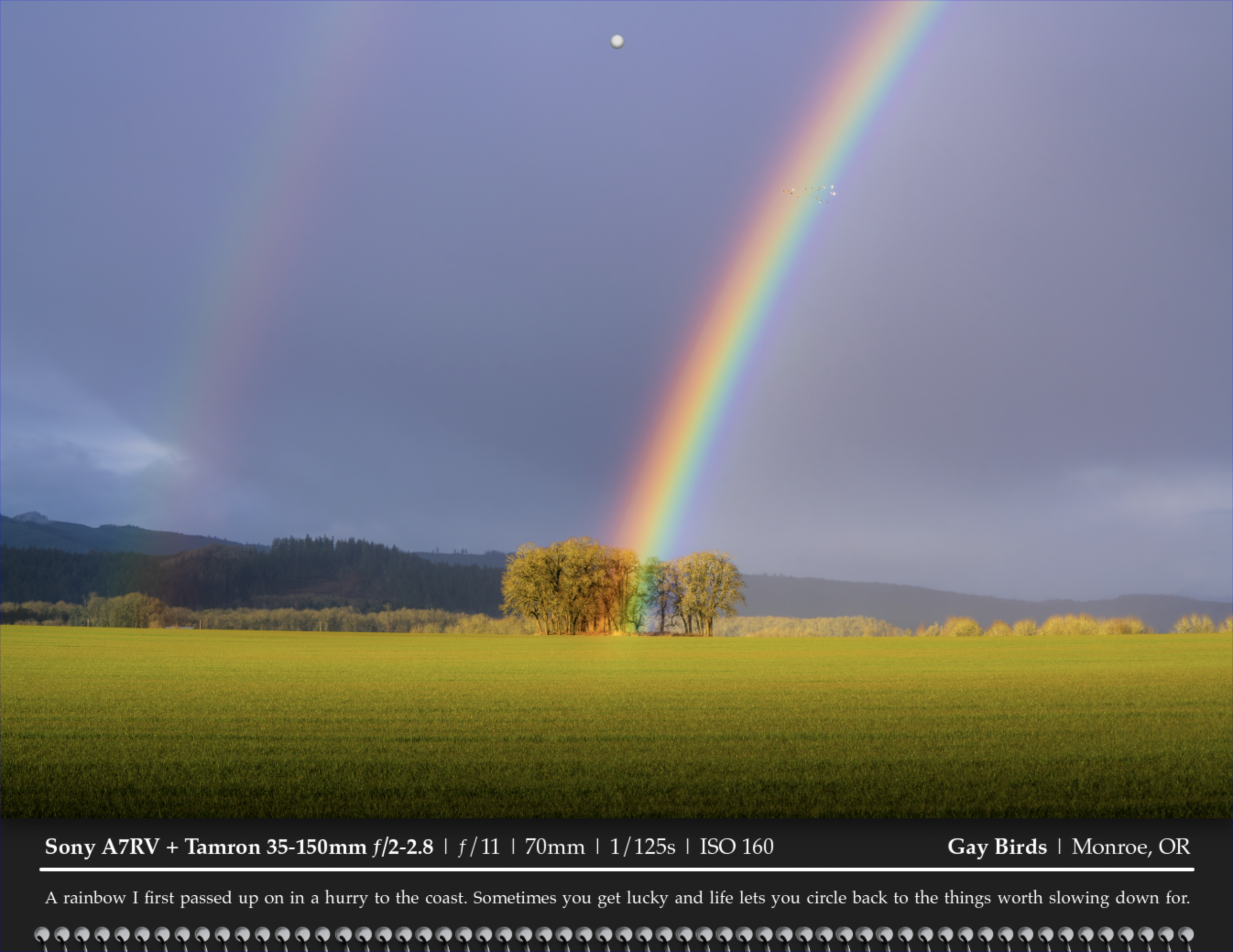 Screenshot 2025-11-01 at 10.39.23 AM.png