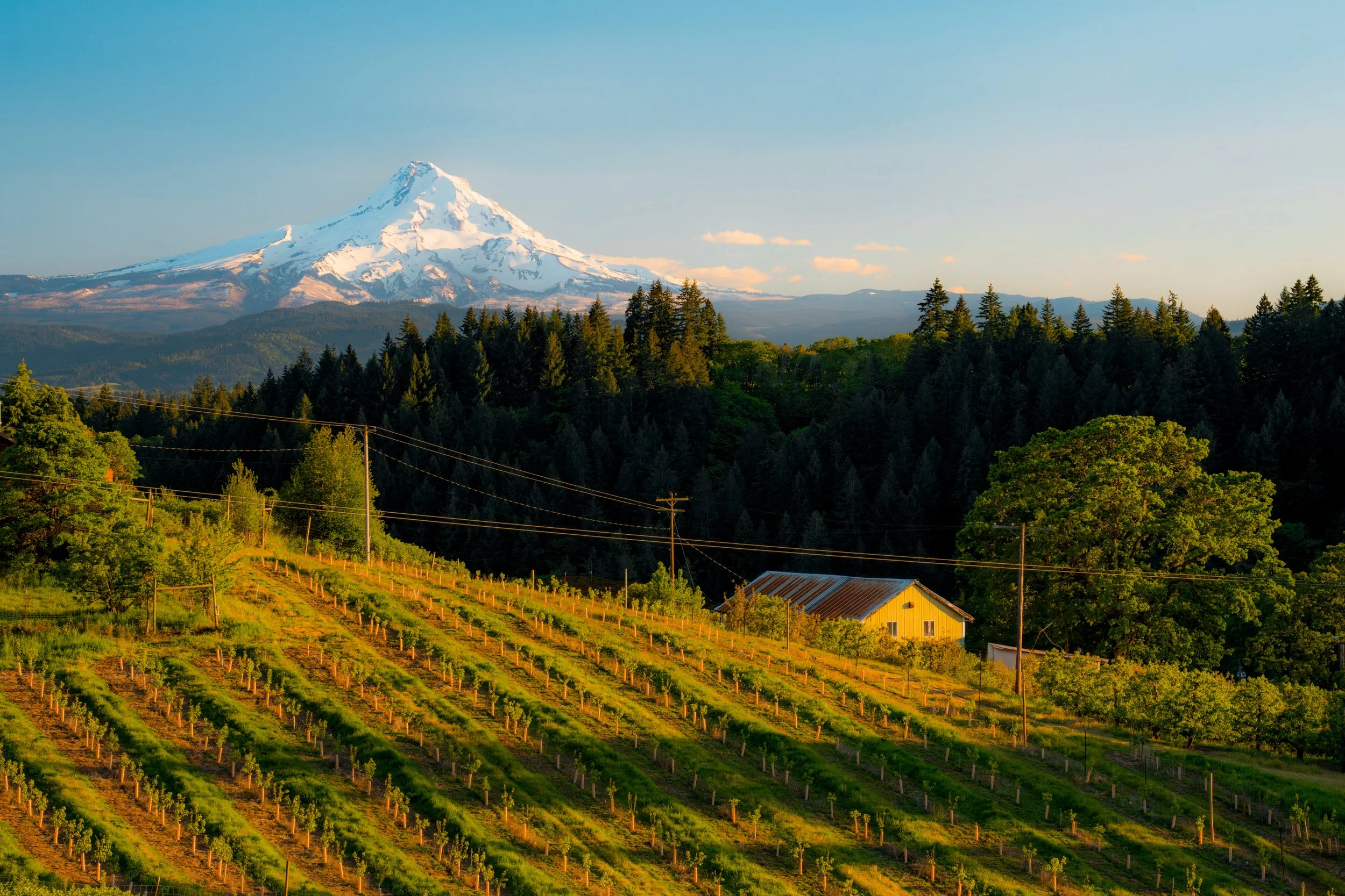  TOMER NEGRIN PHOTOGRAPHY 
 | CAPTURING THE SPIRIT OF THE PNW | 
  Galleries  
  Shop  
  About  
  Blog  