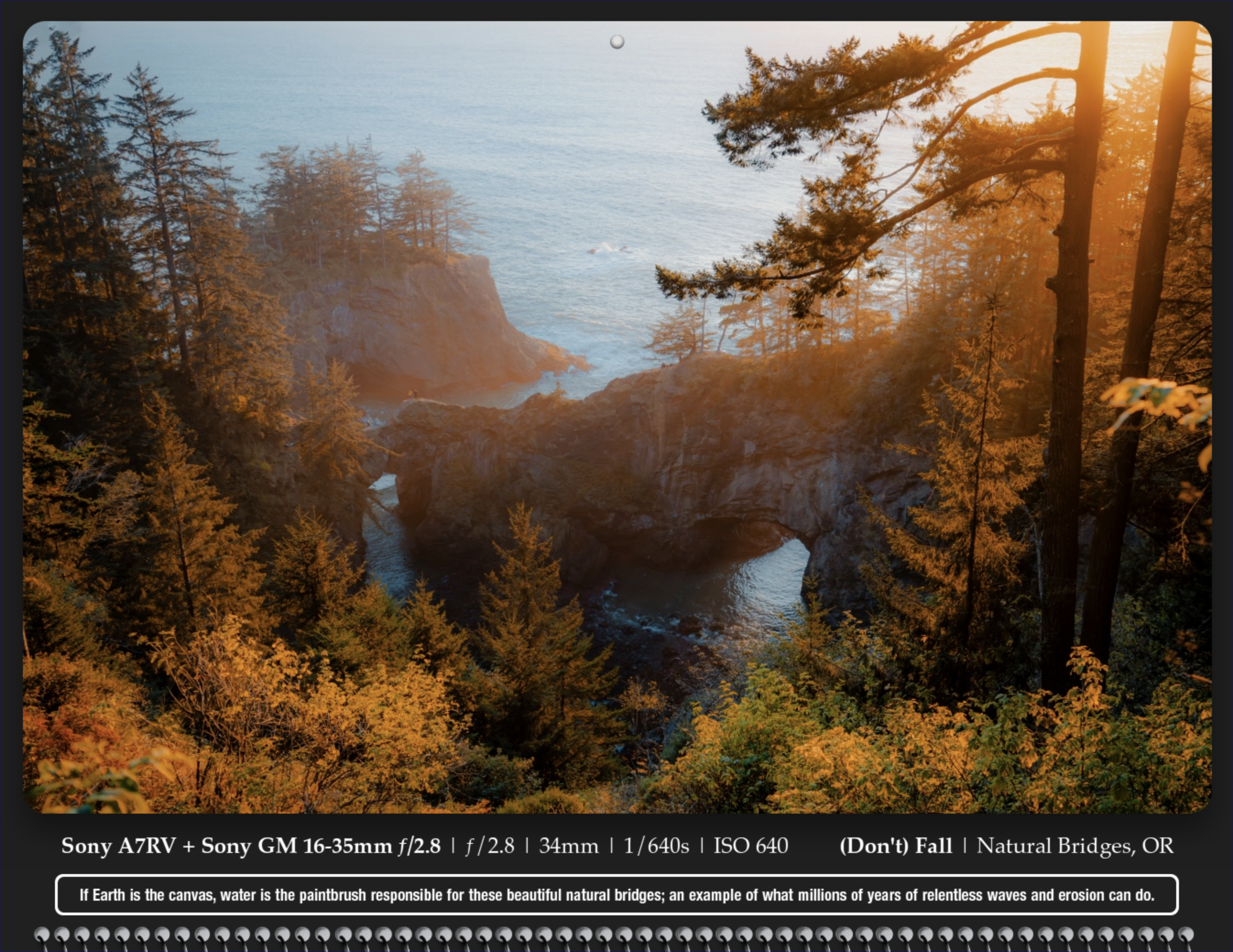 Screenshot 2024-12-04 at 10.40.39 AM.png