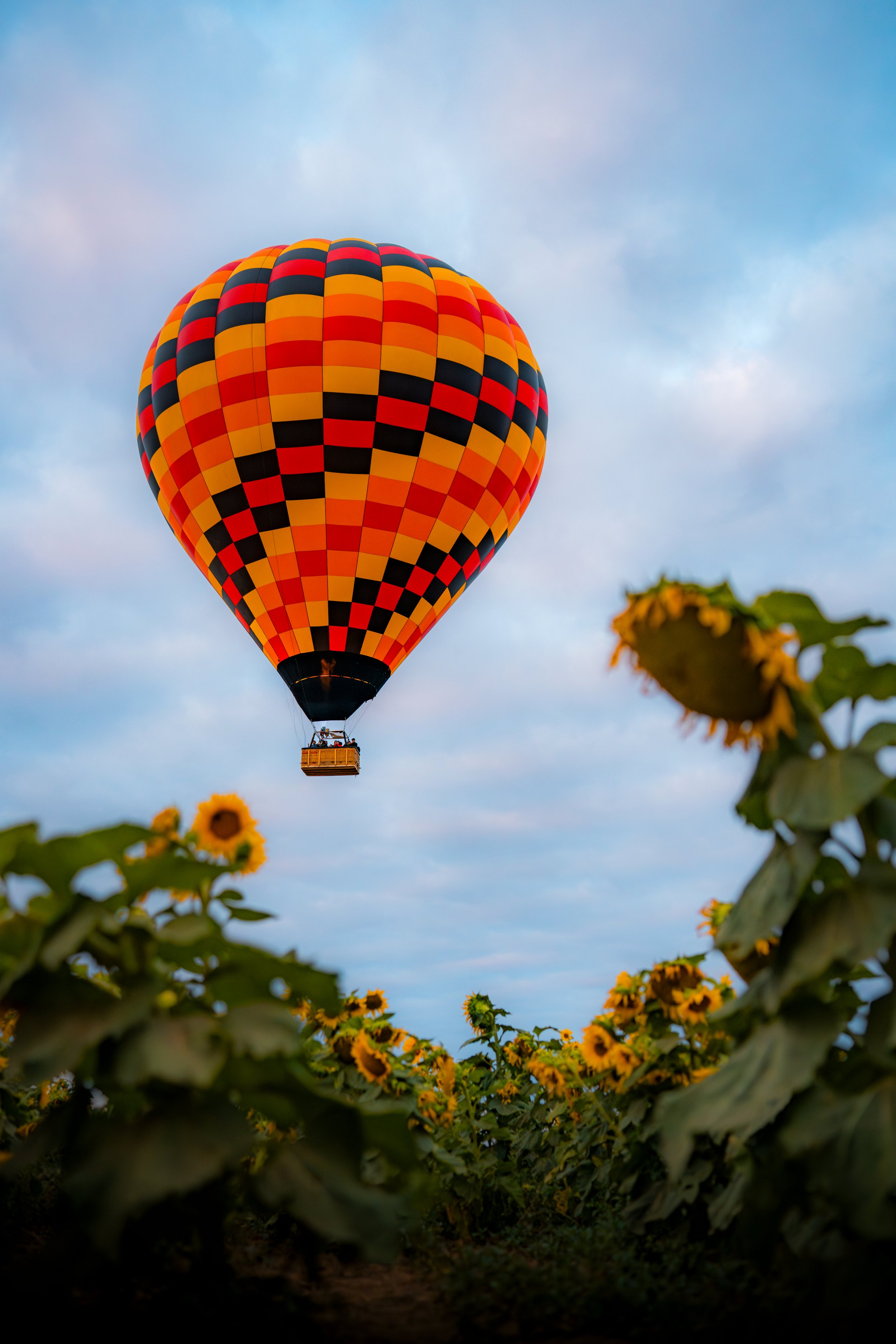 DSC09273-Enhanced-NR-Highest Quality JPEG-5.jpg