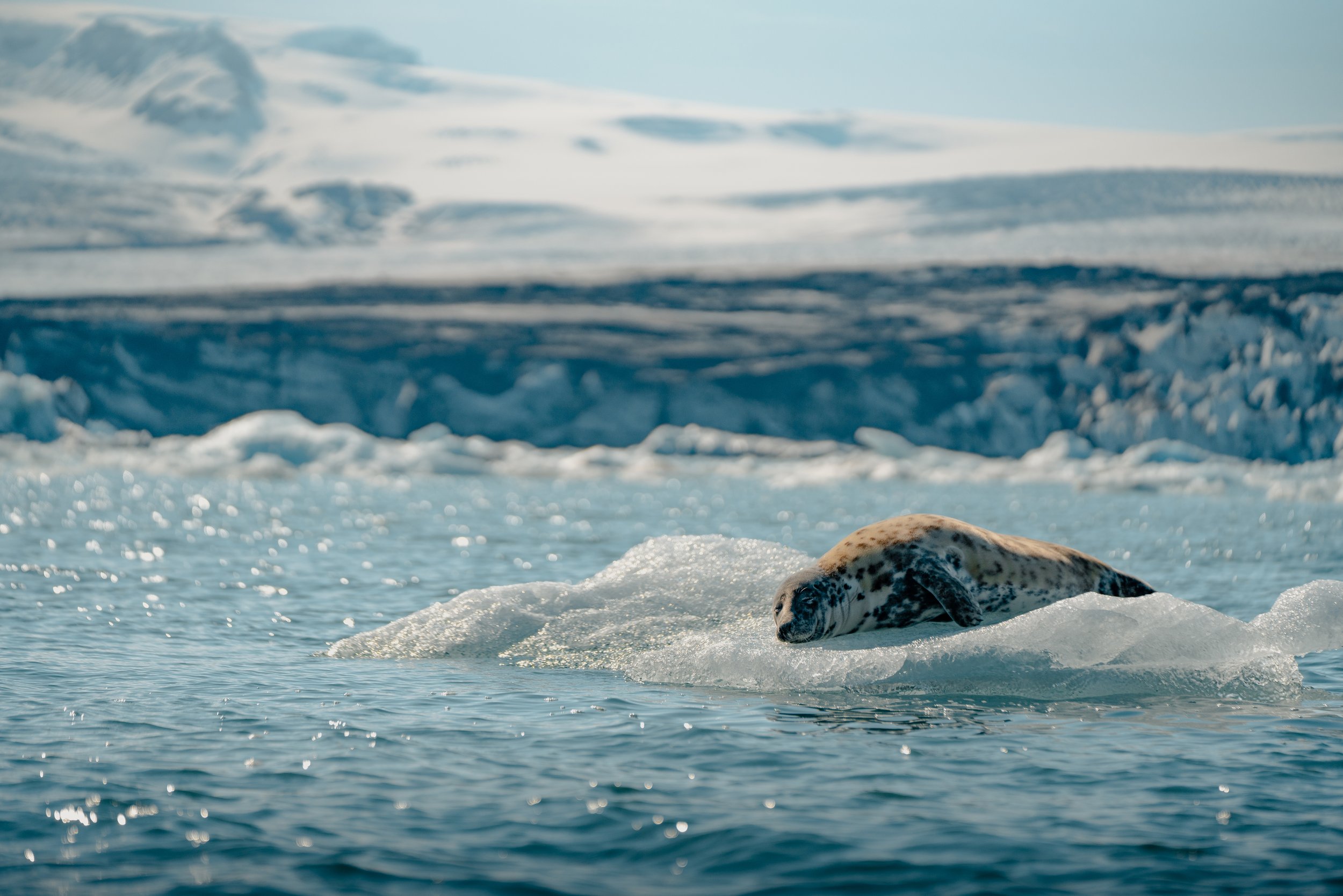 _DSC5012-2.jpg