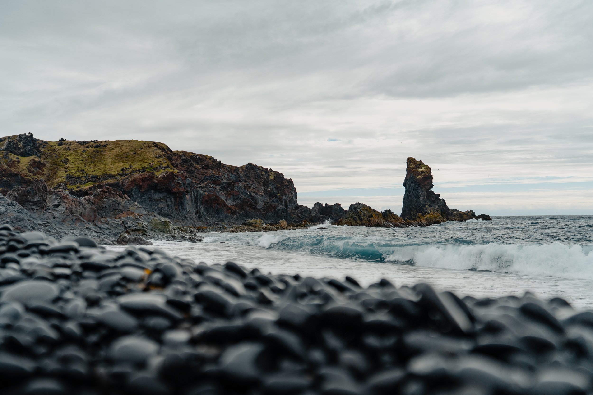 _DSC3092.jpg