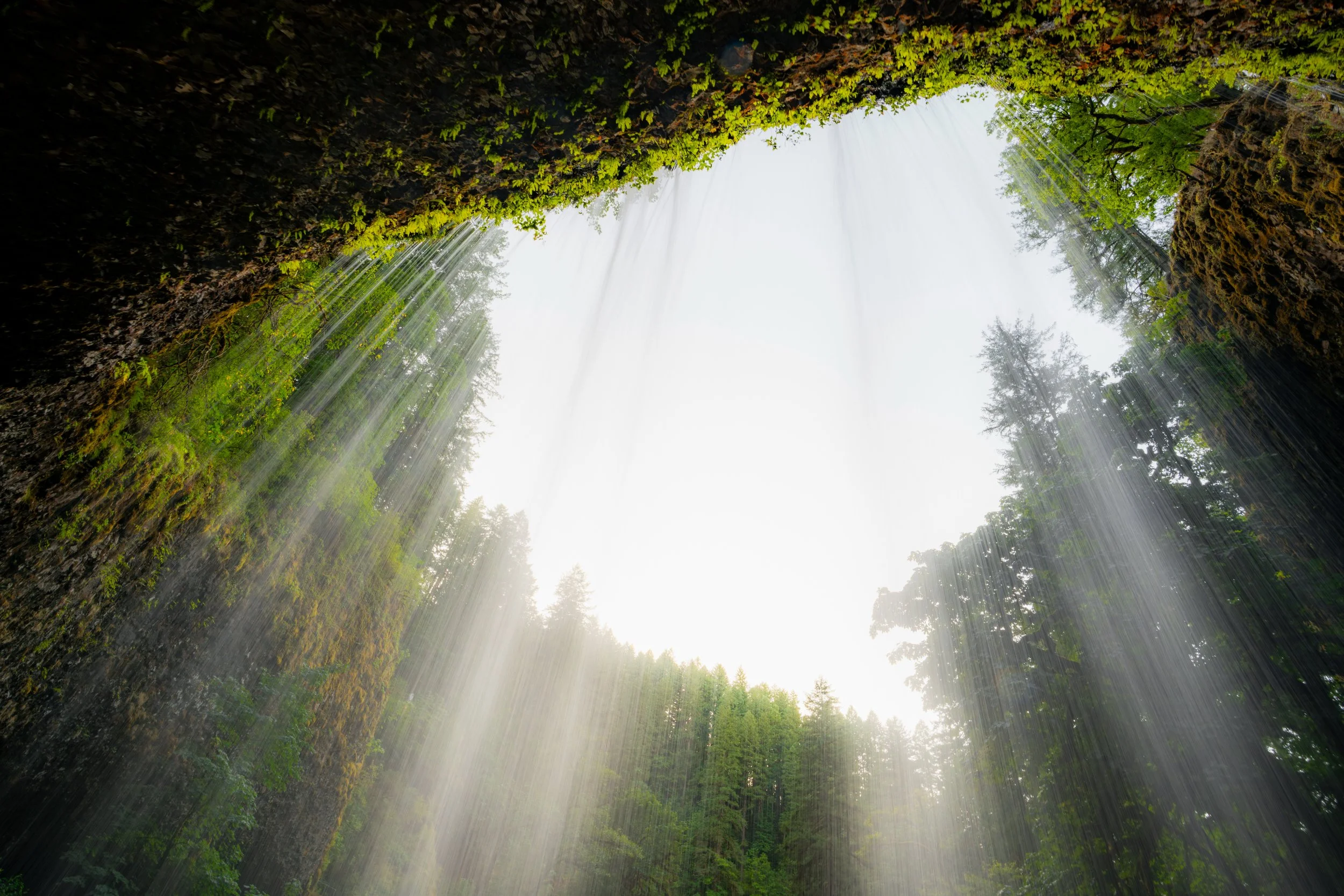 DSC08991-Enhanced-NR-Highest Quality JPEG-2.jpg