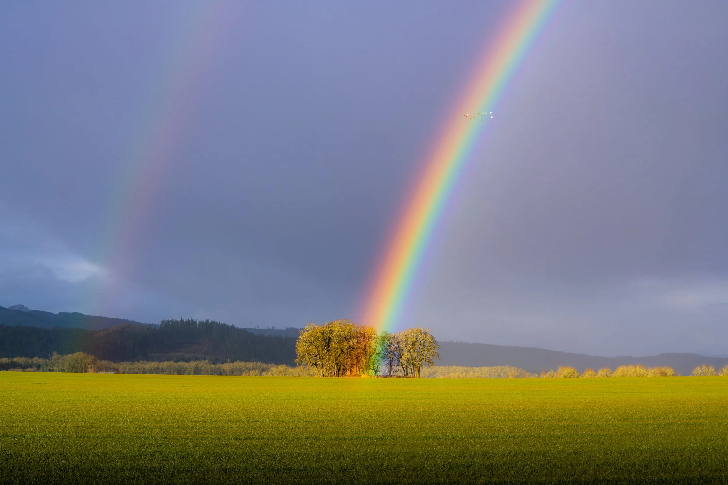 PSX_20251030_153138 (1).jpg