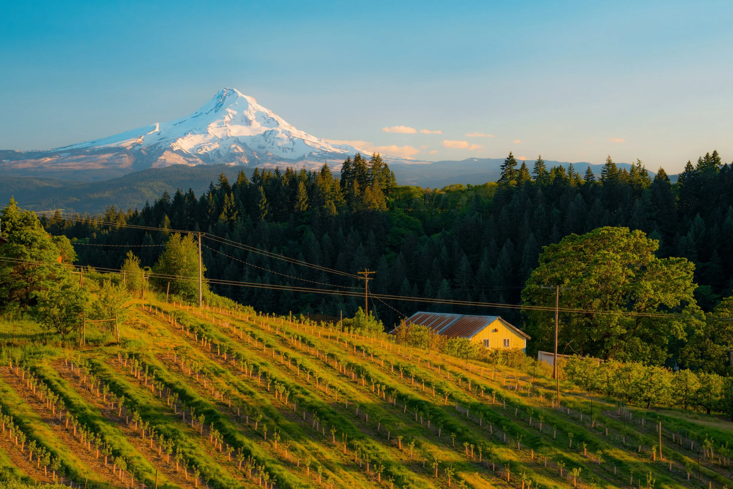 DSC08228-Enhanced-NR-Edit-Highest Quality JPEG-3.jpg