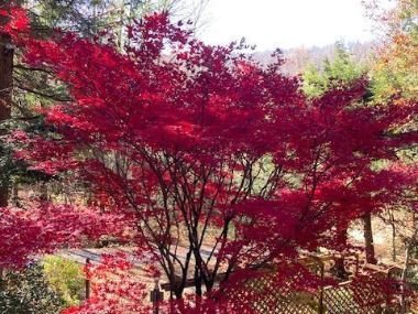 Talking to Myself • Nov. 2025