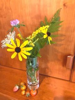 Summer Update • Aug. 2024