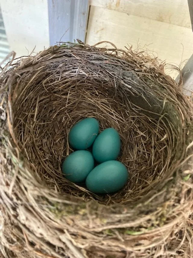 Summer Update • Jun. 2021