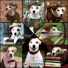 Podcast Chapter 20: Irish Mysteries and the Wishbone Effect