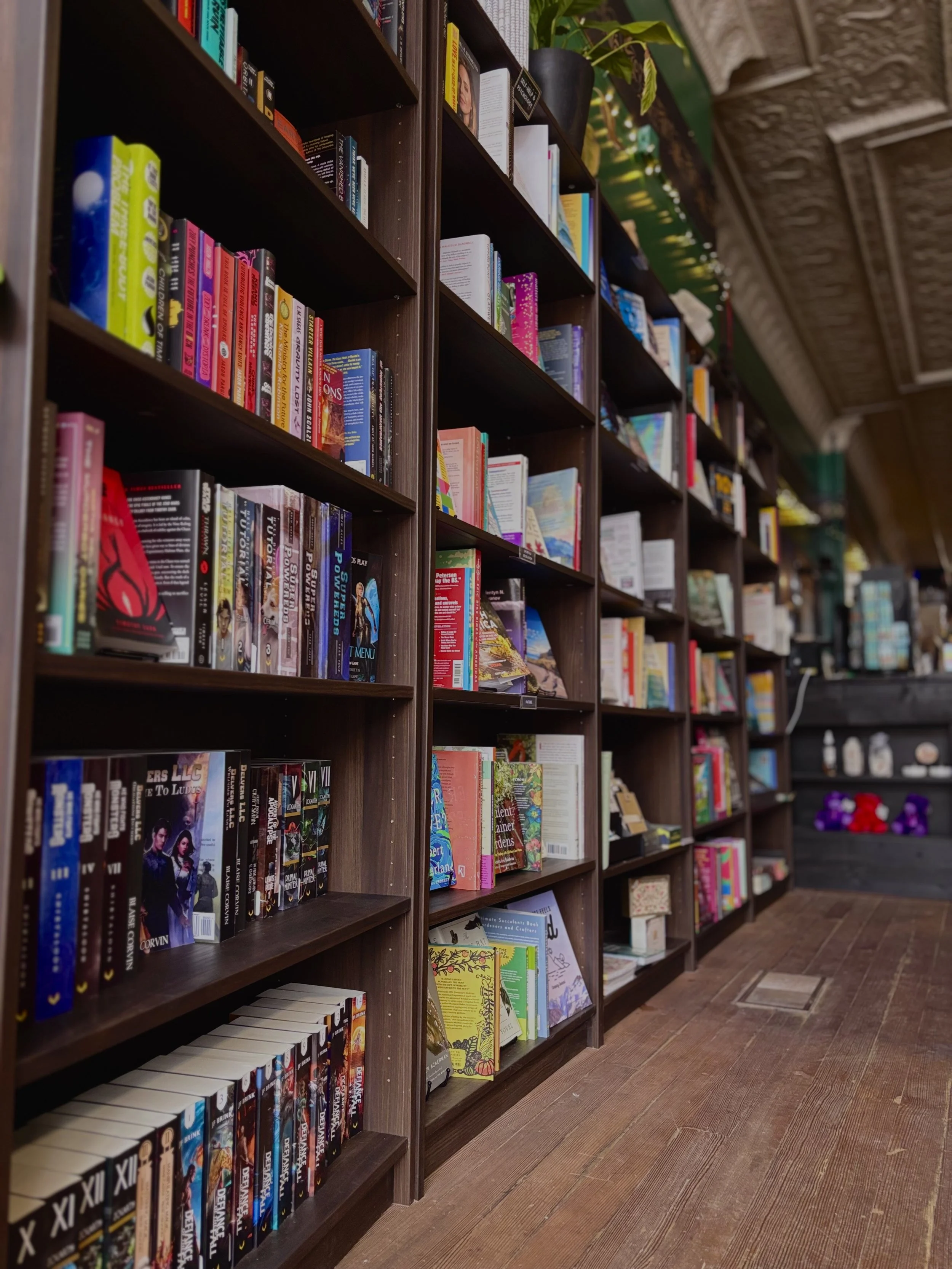 New &amp; Used Books