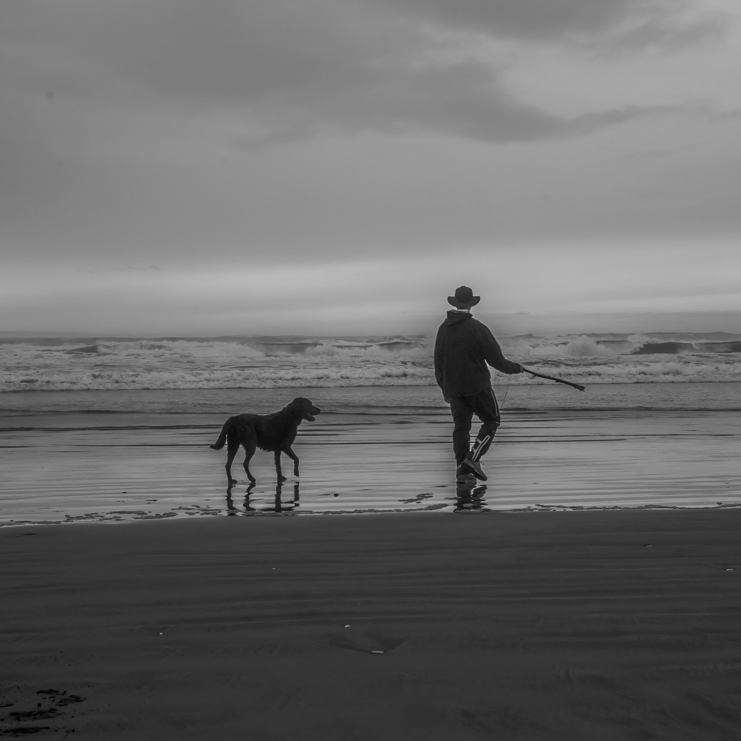 Professor Snuggles, the dog, and his owner play on the beach.