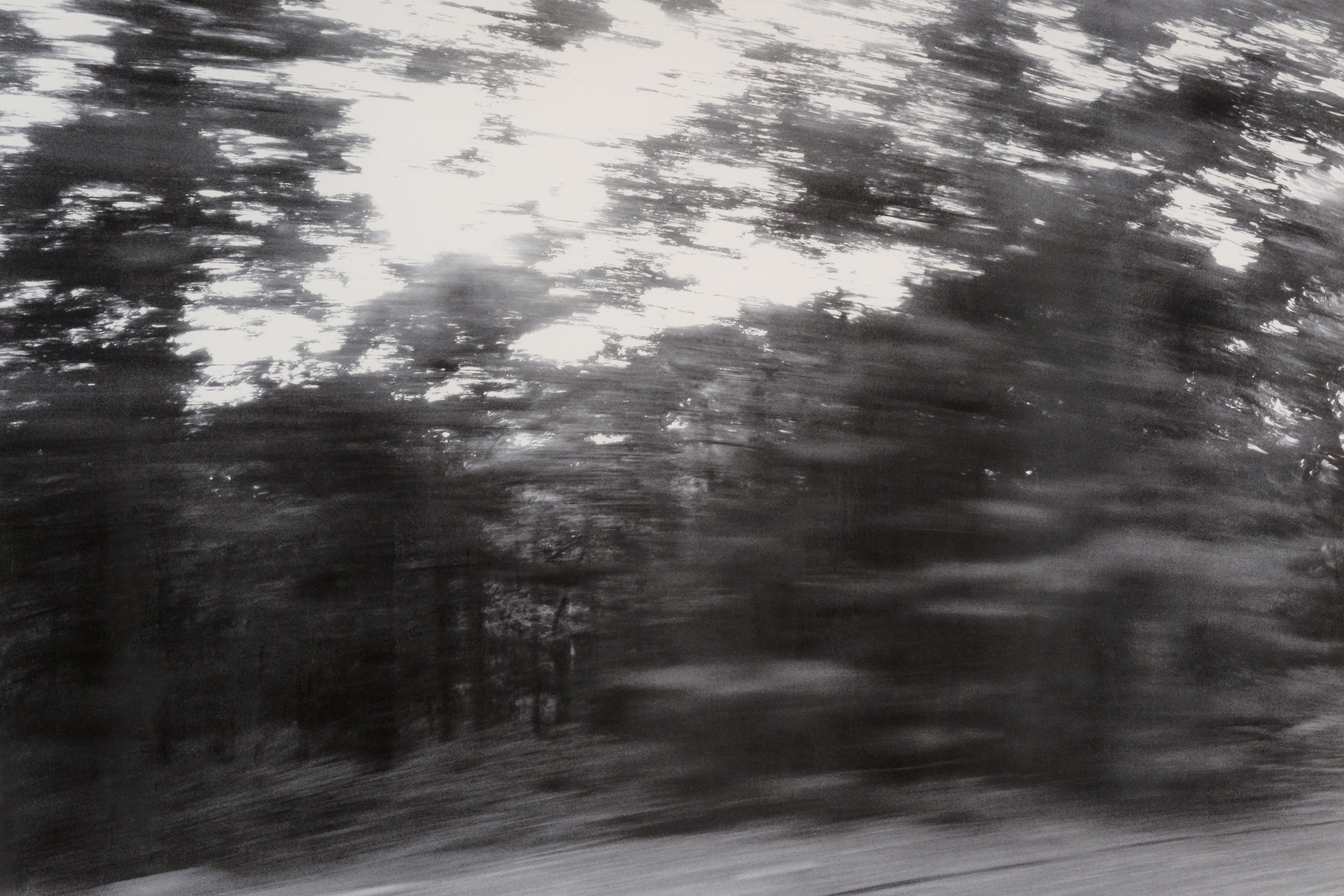 "Night Swim," 2013,
Oil on paper,
 44" x 64"