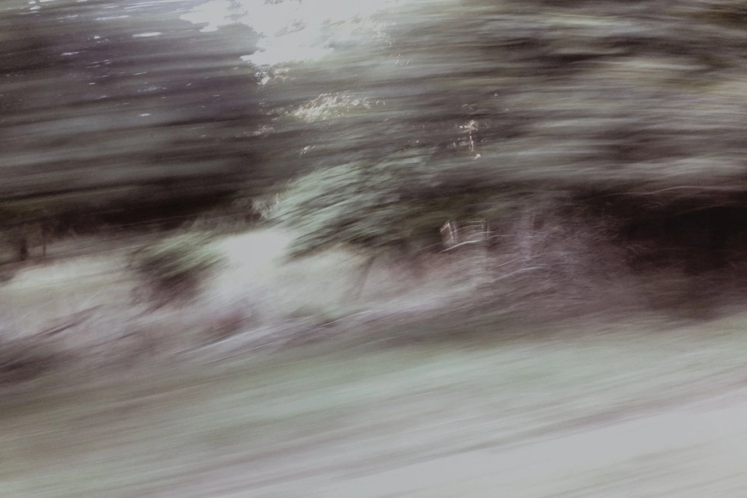 "First Day of Spring," 2013,
Oil on paper,
44" x 64"