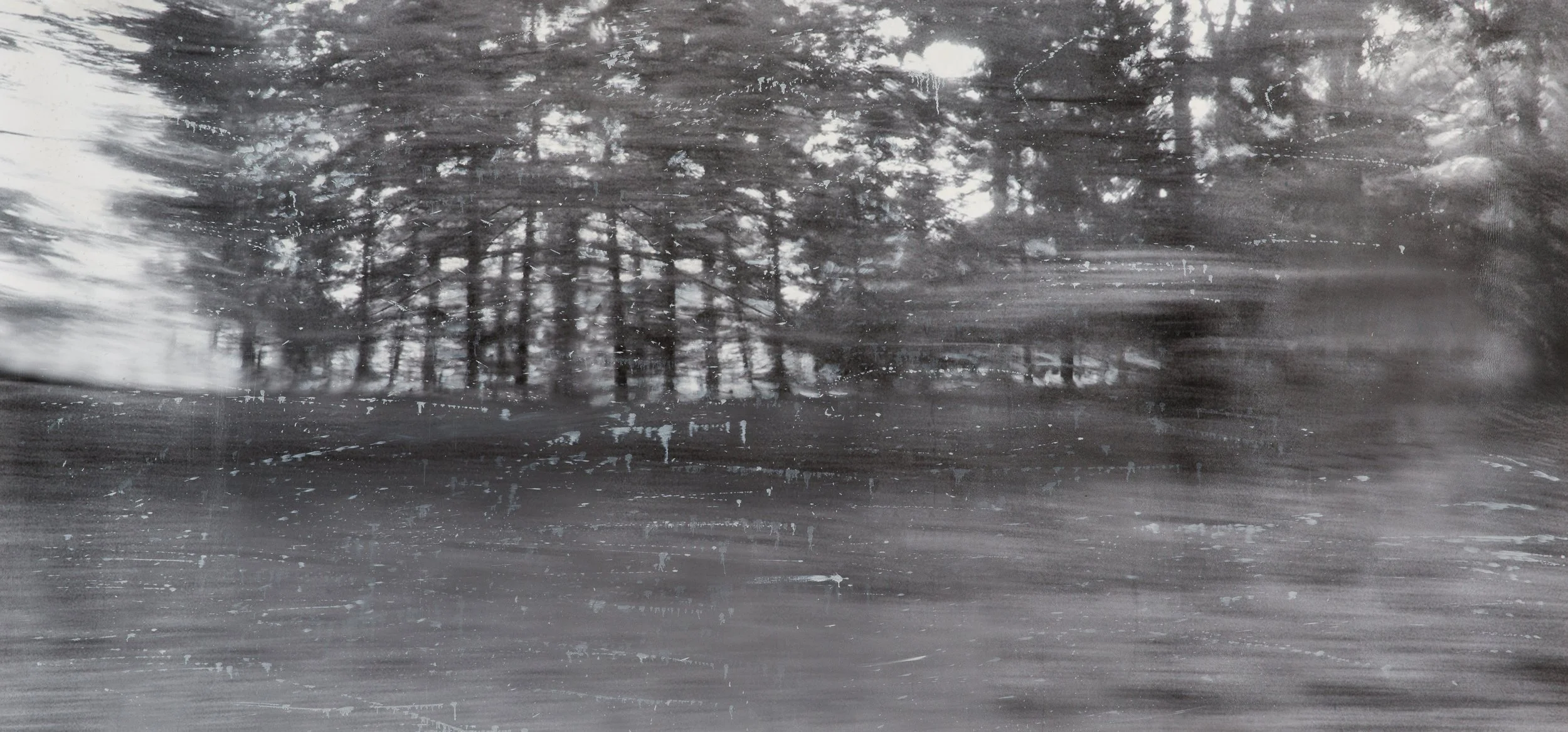 "Still," 2013,
Oil on paper,
44" x 89"