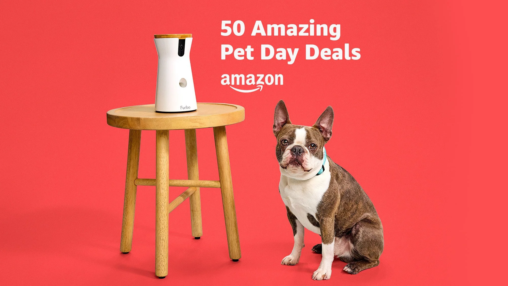 Amazon Is a Massive Opportunity for Pet Brands—If You’re Ready to Compete