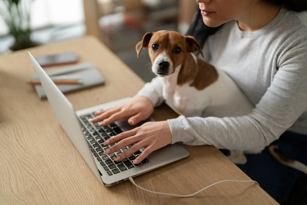How a Strategic Copywriter Fits Into Your Pet Brand's Marketing Team