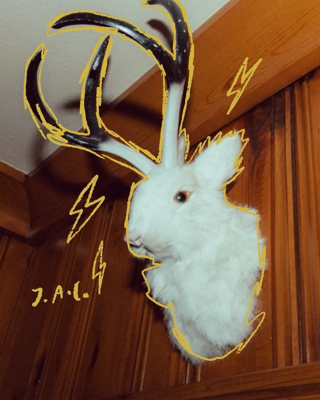 My client told me she wanted something un-designed. Utilitarian. Nothing fussy.

So I ran my process &mdash; brand questionnaire, mood board exercise, the works. We found some threads to pull on but it wasn&rsquo;t&hellip; sticky. 

Then my son point