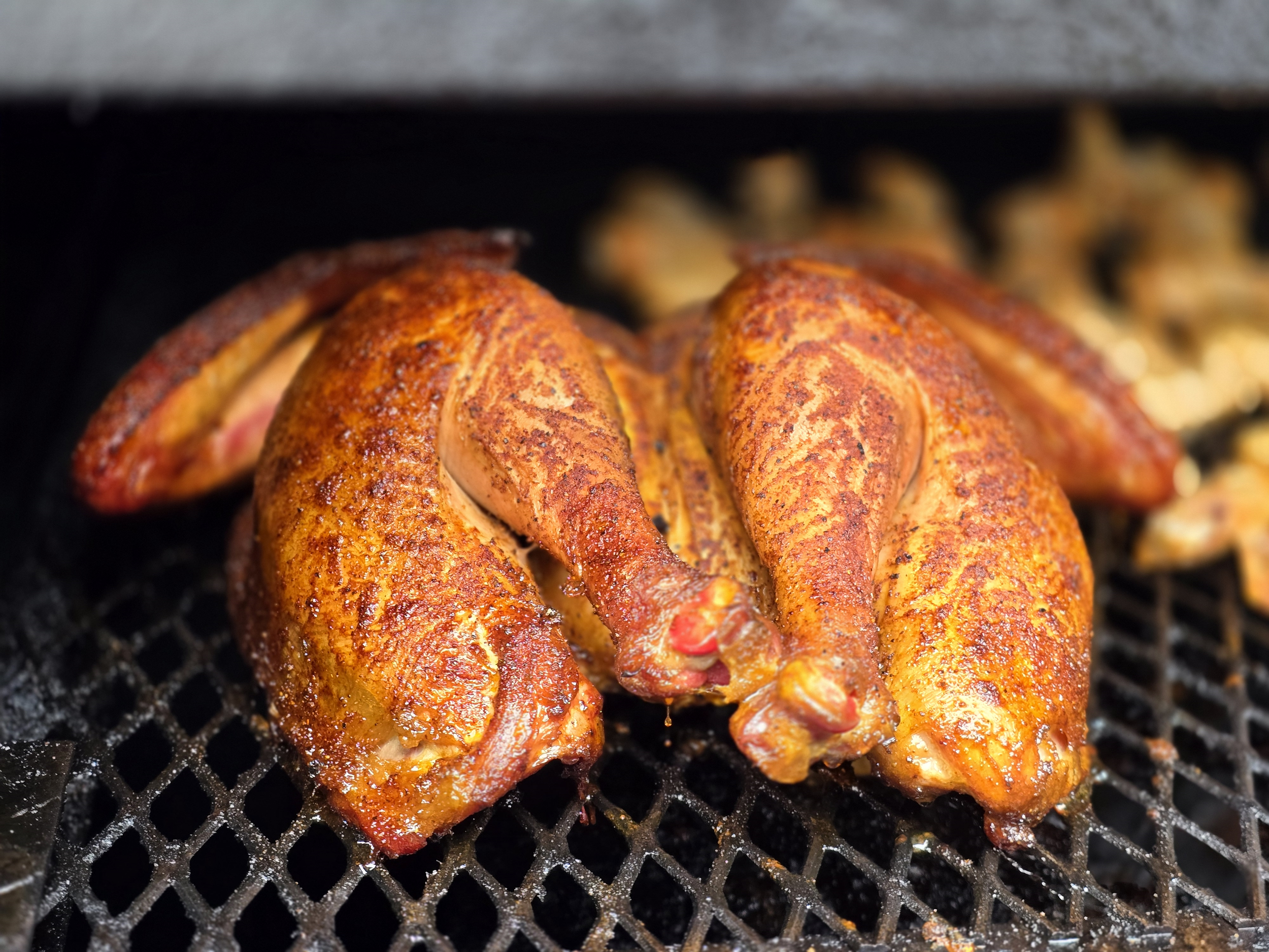 spatchcocked turkey.png