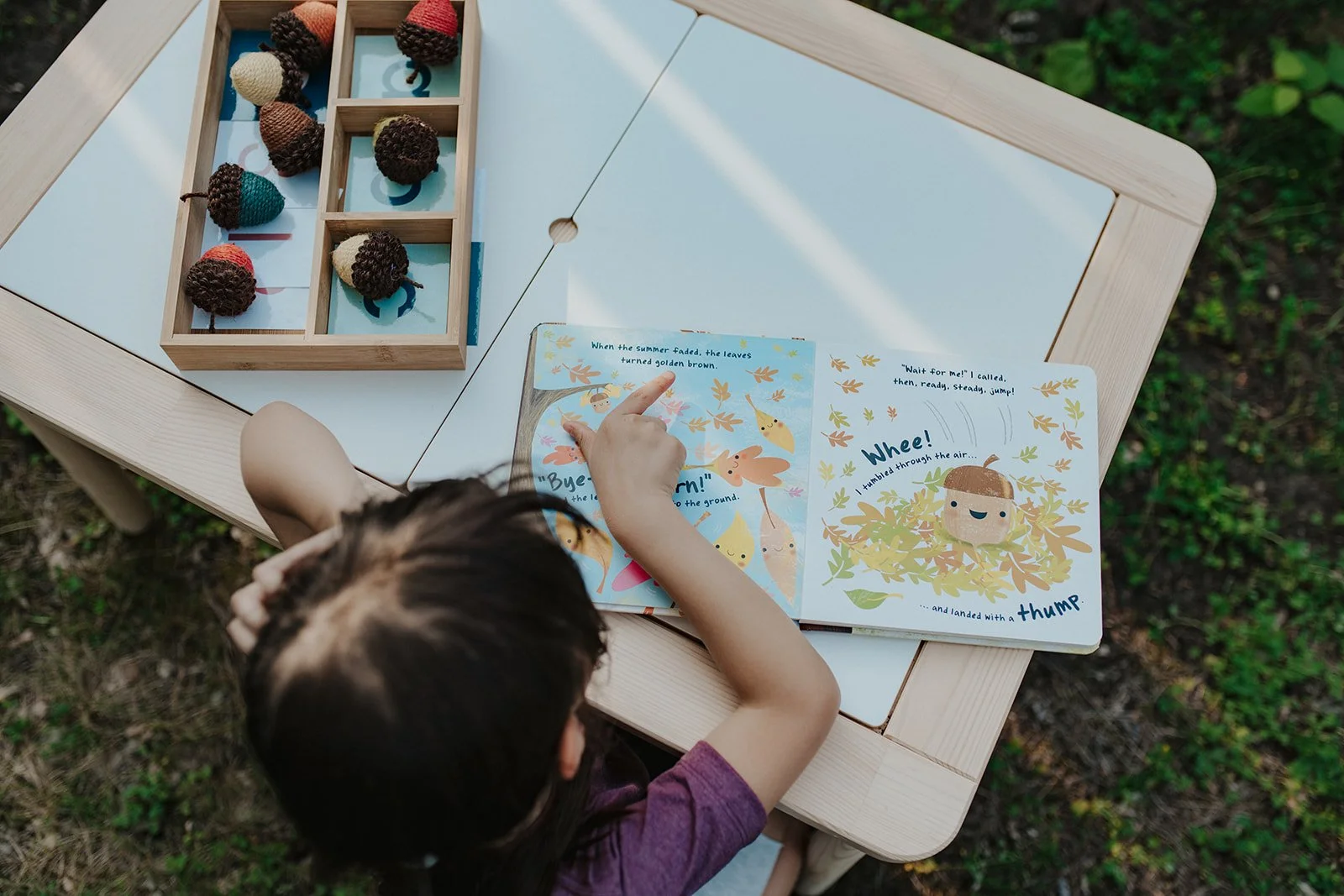 Edmonton's Premier Montessori Preschool — Purpose Preschool