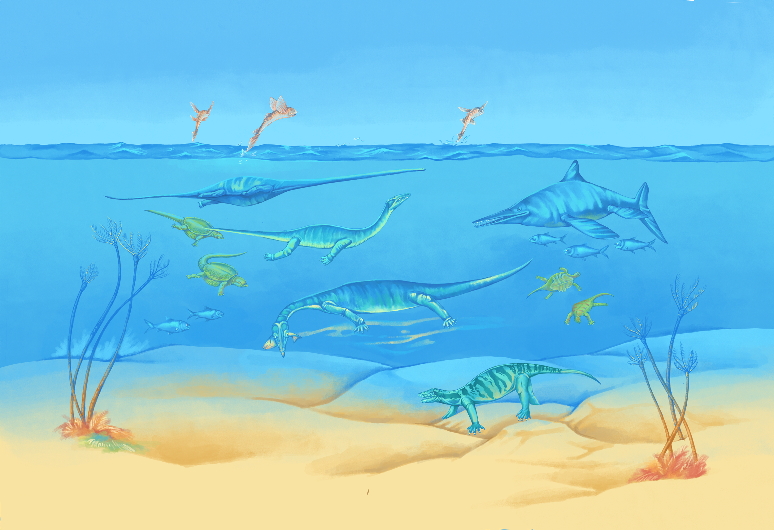 Ichthyosauria Biota, 2025