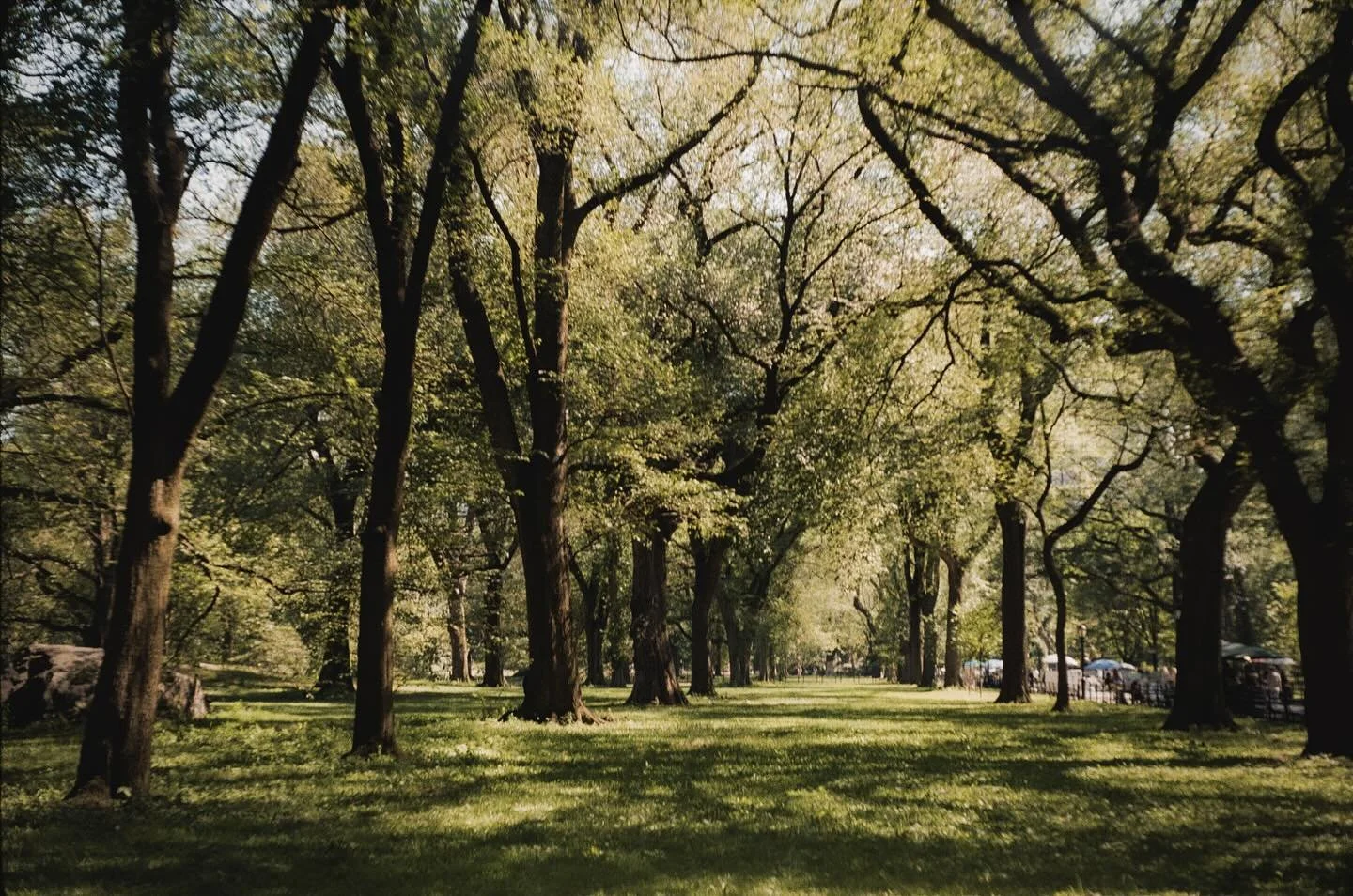 Sometimes it&rsquo;s difficult to ask the questions, when the thoughts are too loud, when the city is humming around, when you&rsquo;re trying to chase rather than find. 

Catch the day, take the time. Don&rsquo;t wait, you&rsquo;ll be fine.

Inspire