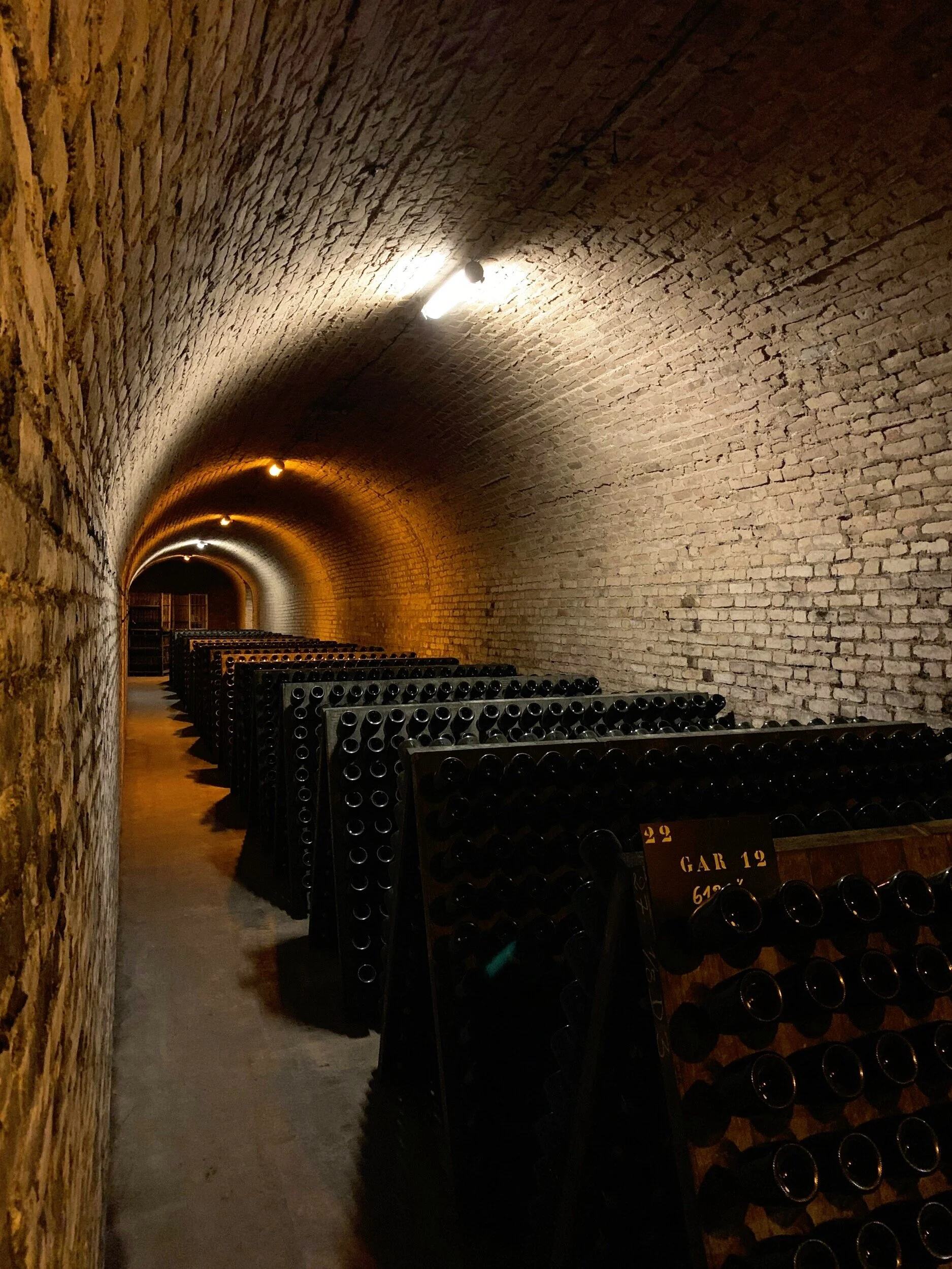 Vintage Revelations: Loire Valley Wine Secrets