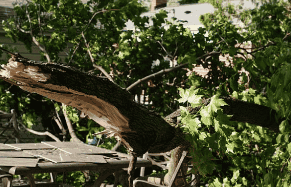 Special Announcement Regarding the Recent Storm Damage
