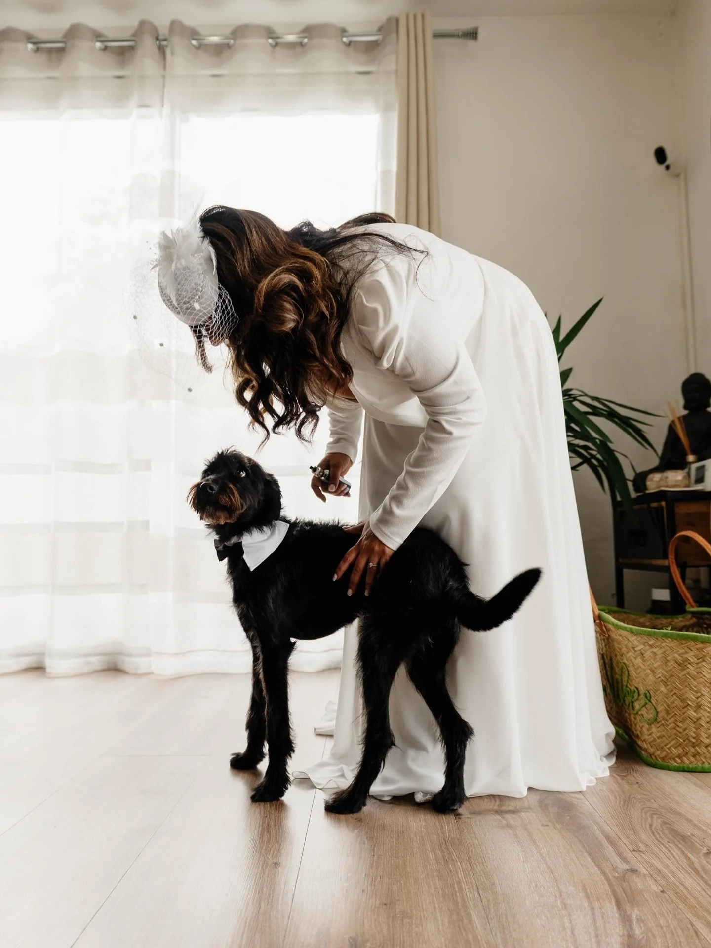 💚 27 septembre 2025

Pour leur grand jour, L&amp;D ne pouvait pas laisser de c&ocirc;t&eacute; leur compagnon &agrave; 4 pattes. Prince les a accompagn&eacute;s toute la journ&eacute;e avec son tr&egrave;s bel accessoire 🐶 

Organisation &amp; coor