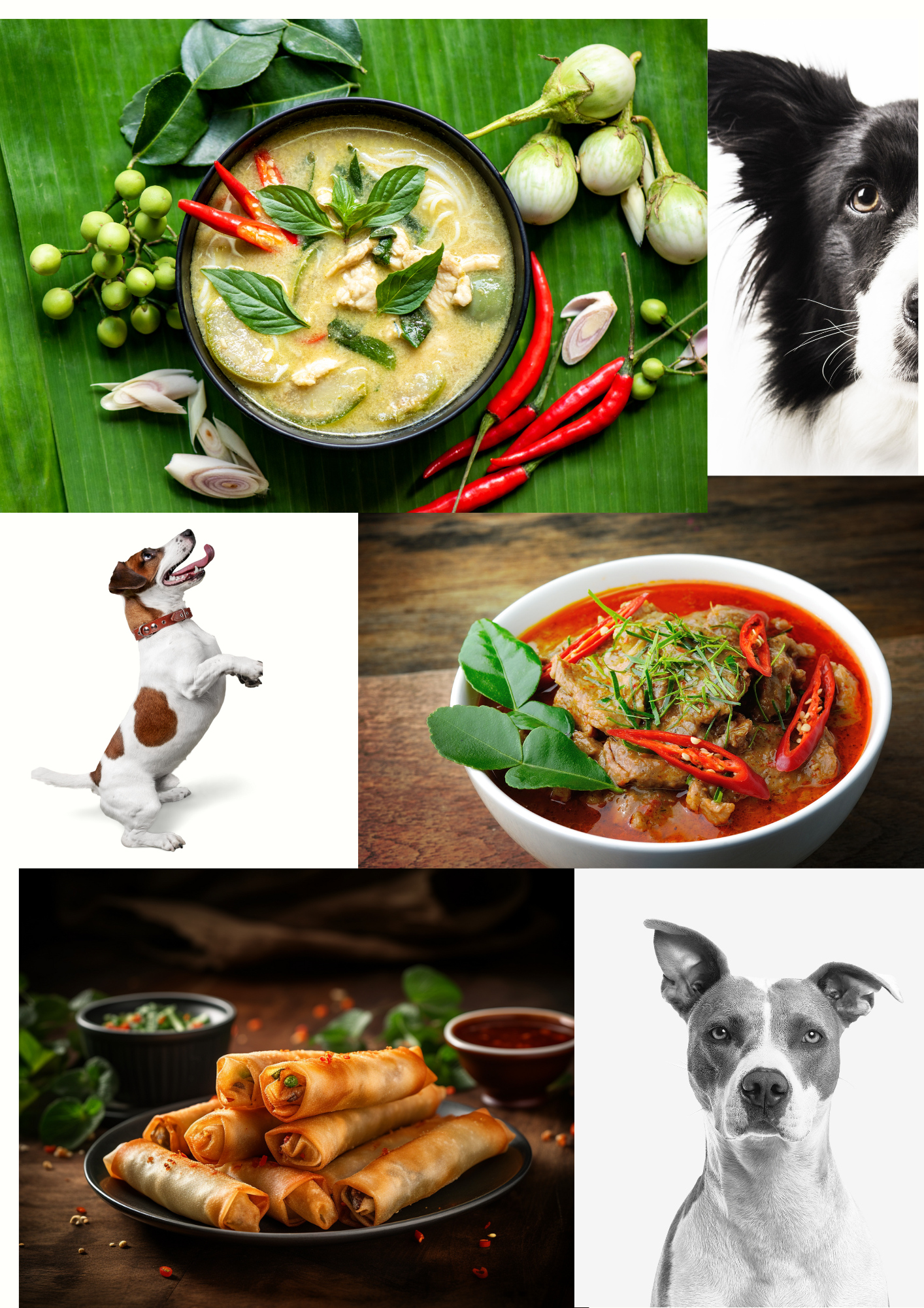 Wuff & Wok