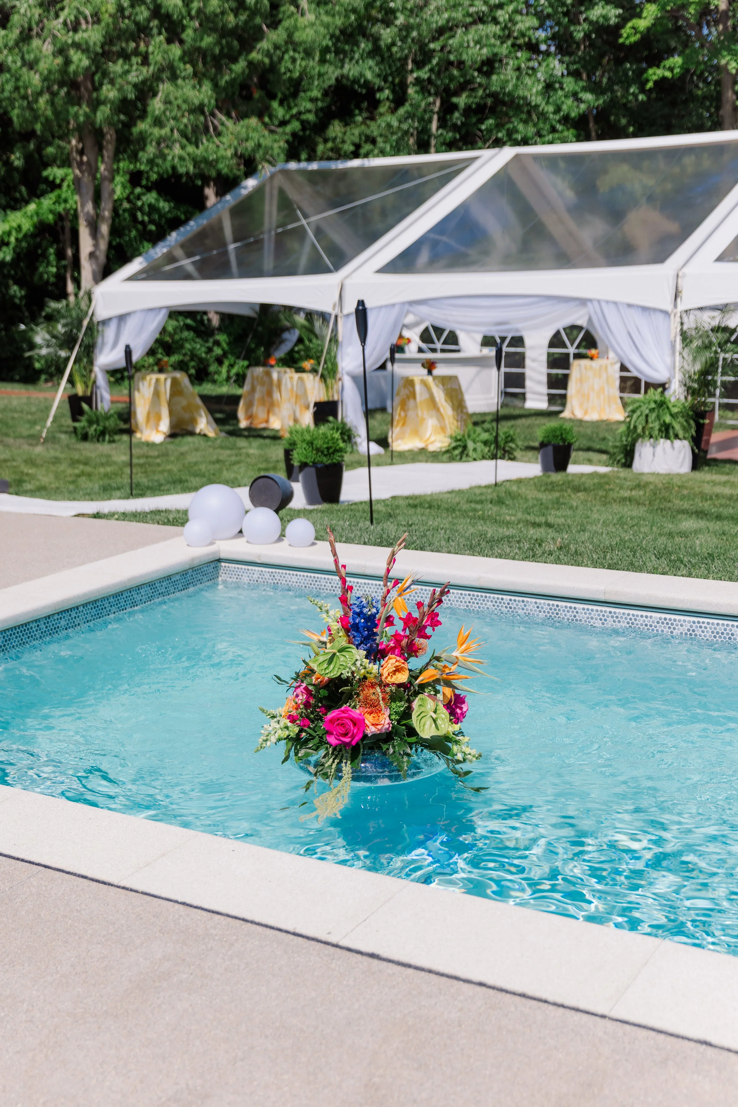 Photo Jun 21 2025, 4 10 51 PM.jpg