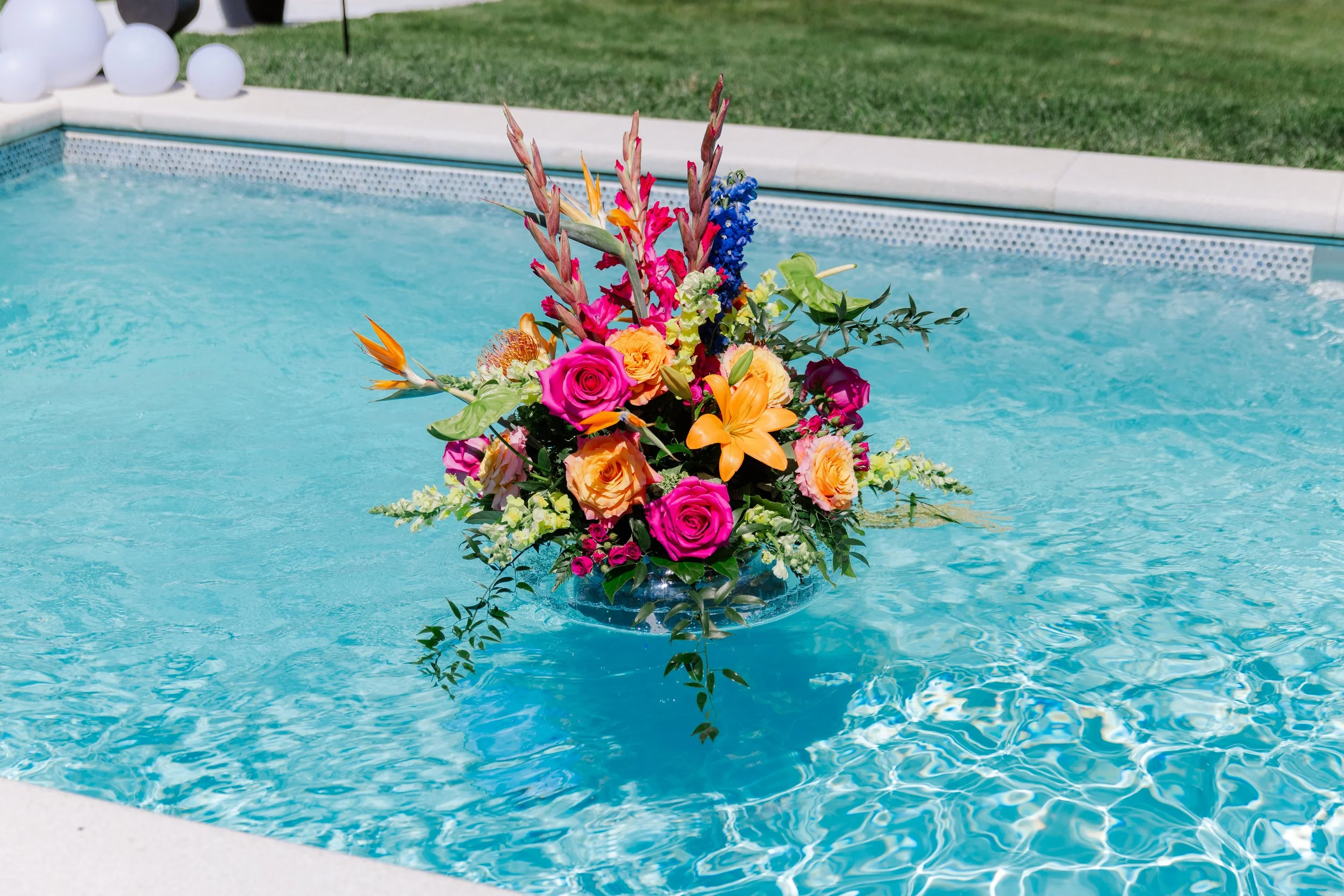 Photo Jun 21 2025, 4 11 20 PM.jpg