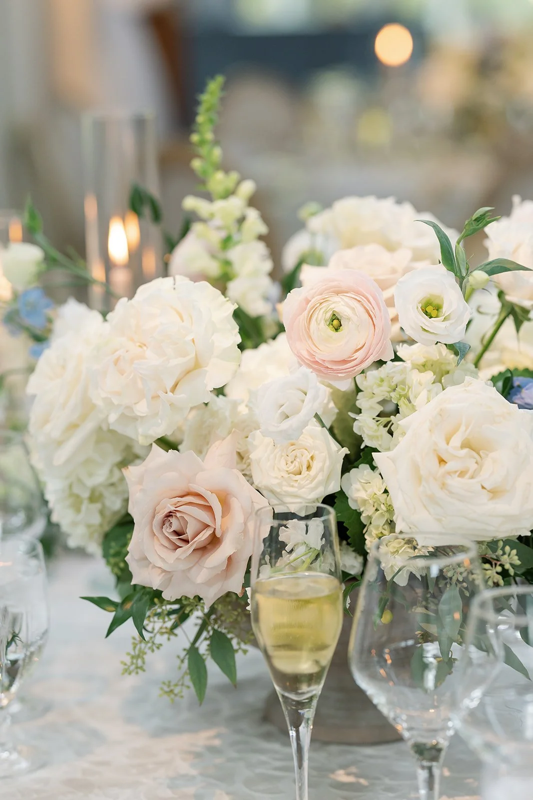 Photo Sep 20 2025, 5 42 49 PM.jpg