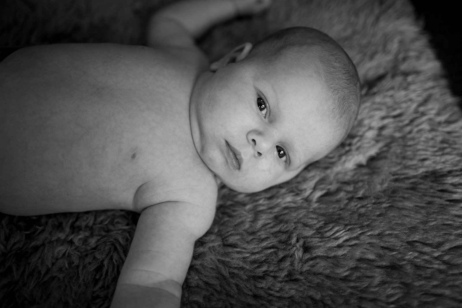 DSC08289_websize.jpg