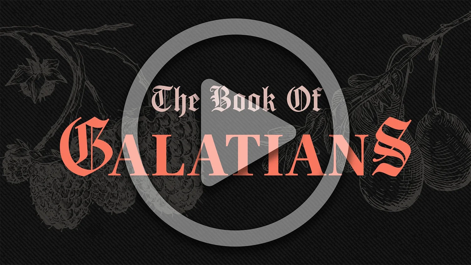 Children of the Promise