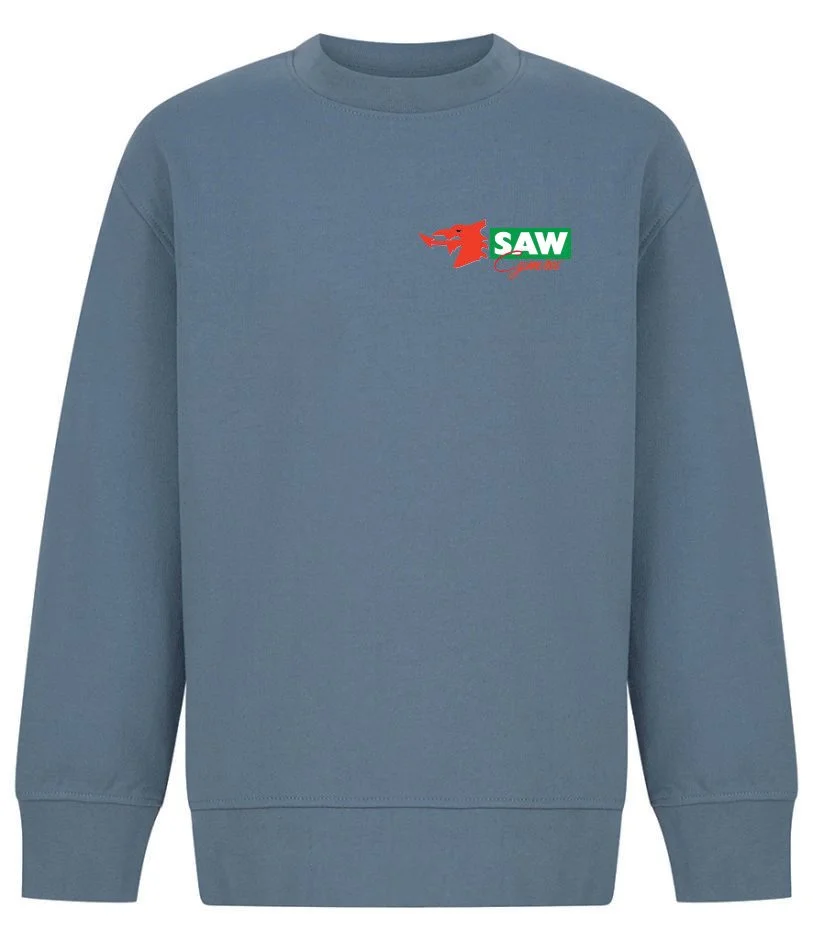 blue sweatshirt.jpg (Copy)