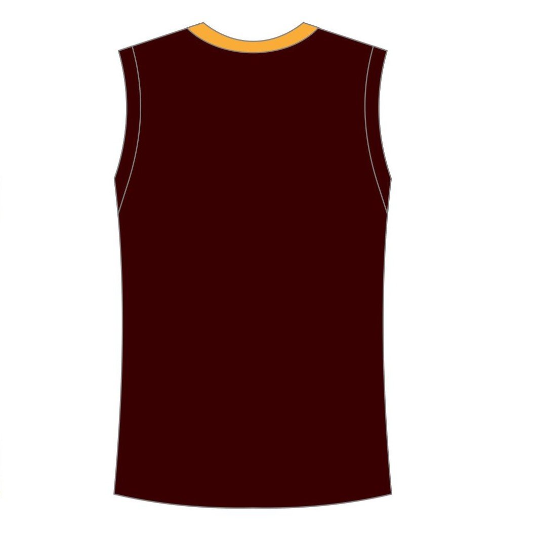 Llangwm mens Cricket Sleeveless SlipOver back.jpg